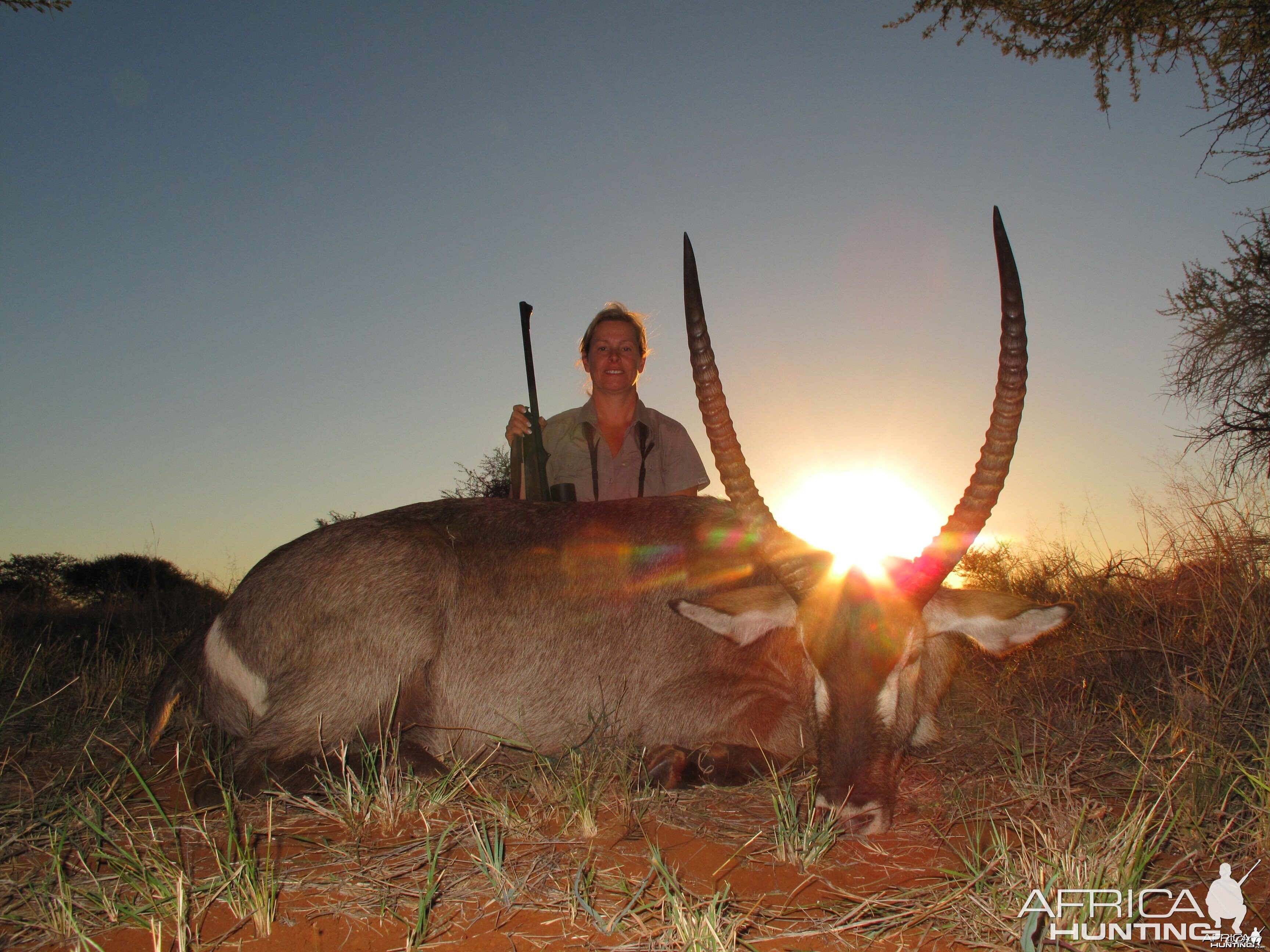 Waterbuck