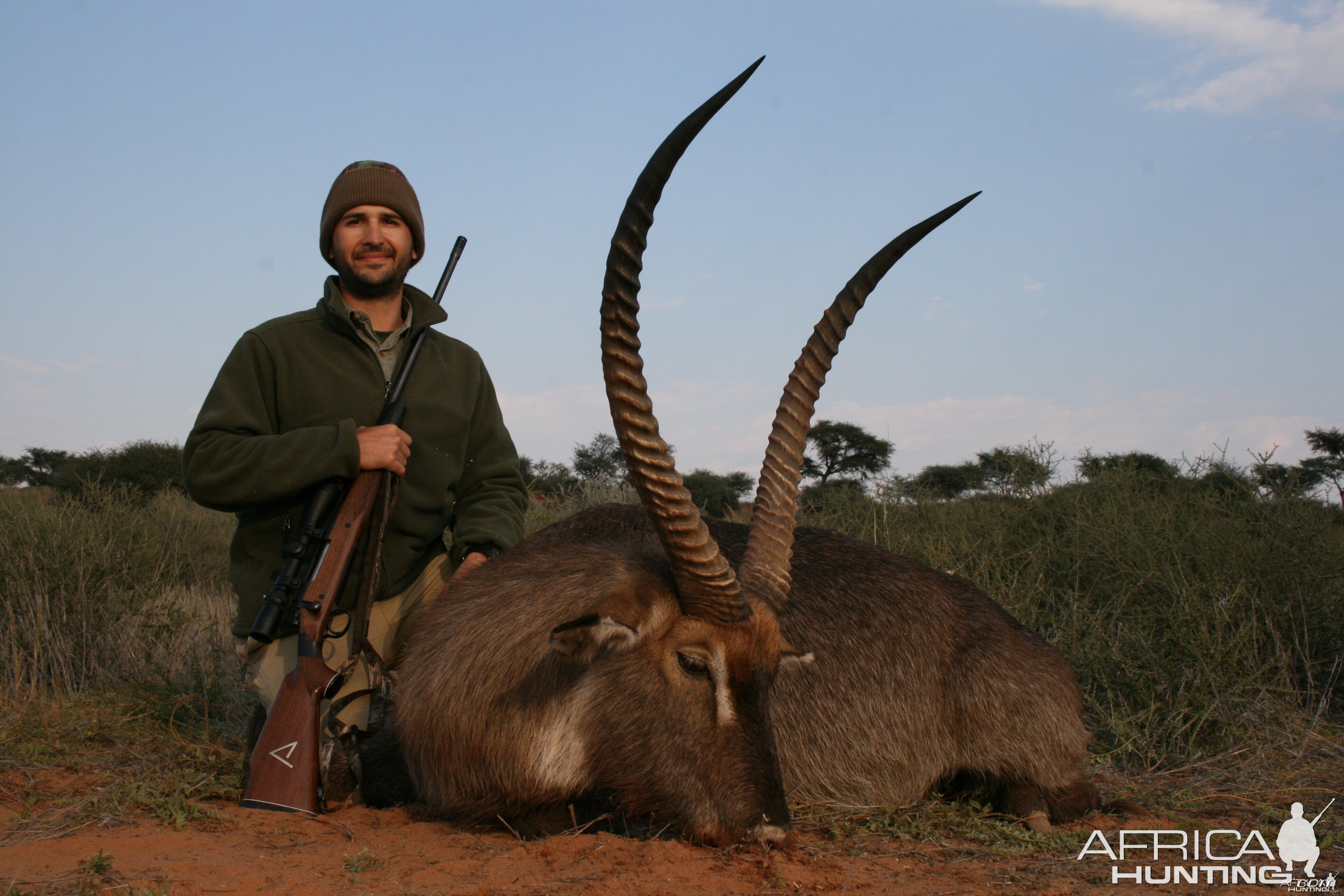 Waterbuck