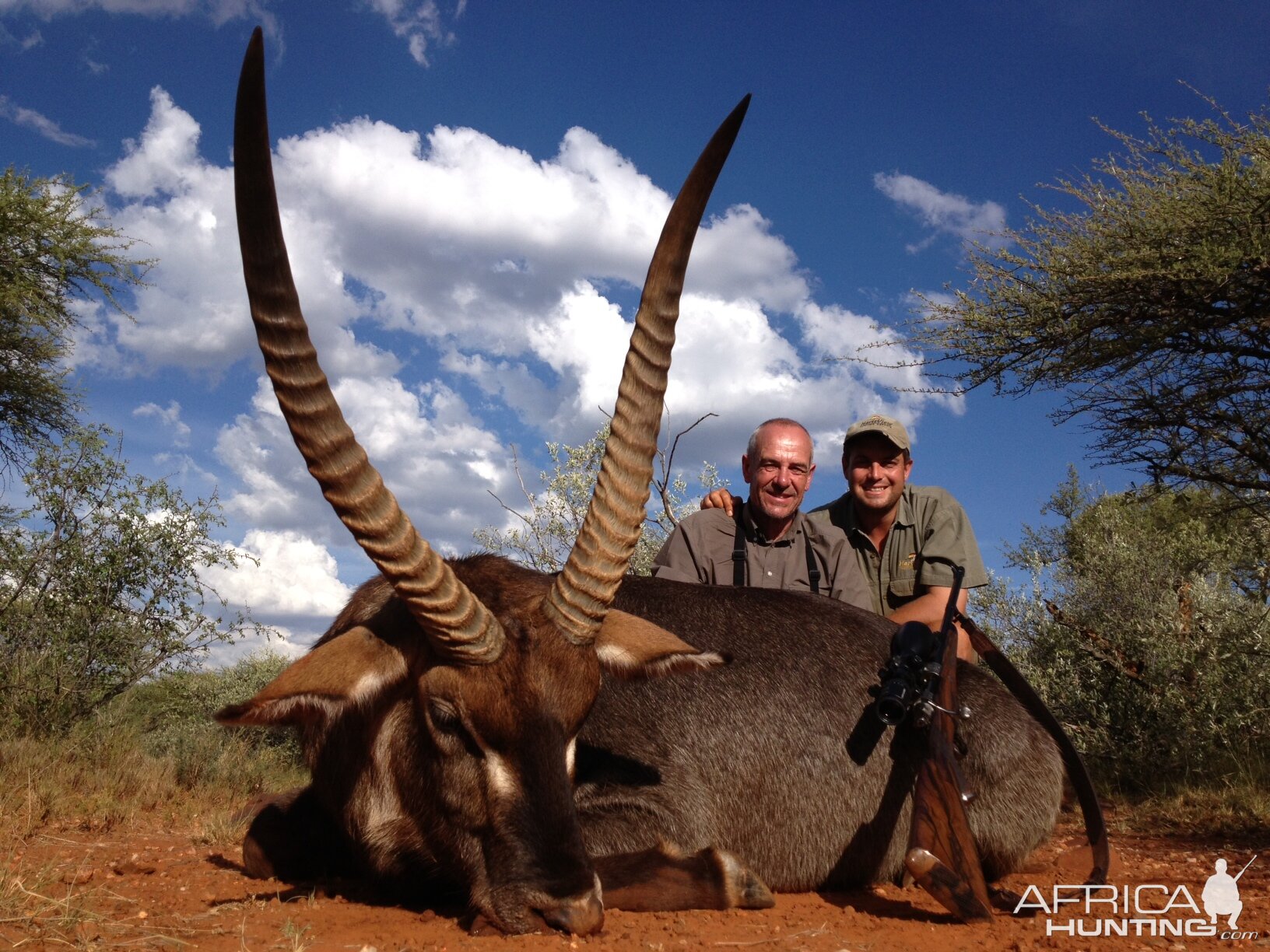 Waterbuck