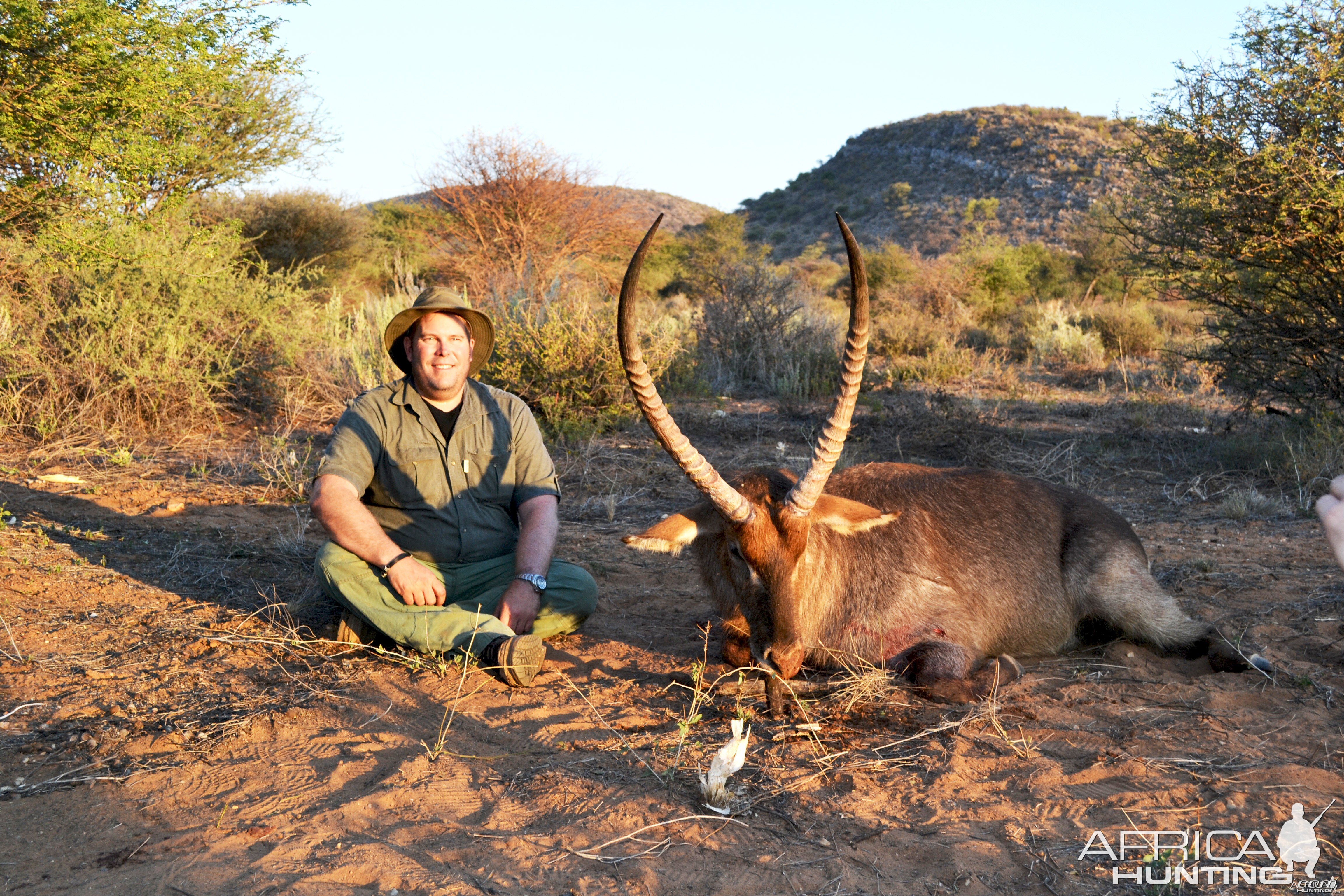 Waterbuck