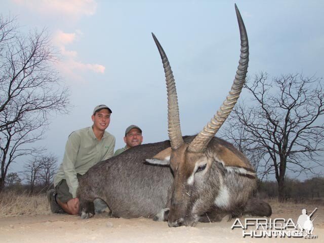 Waterbuck