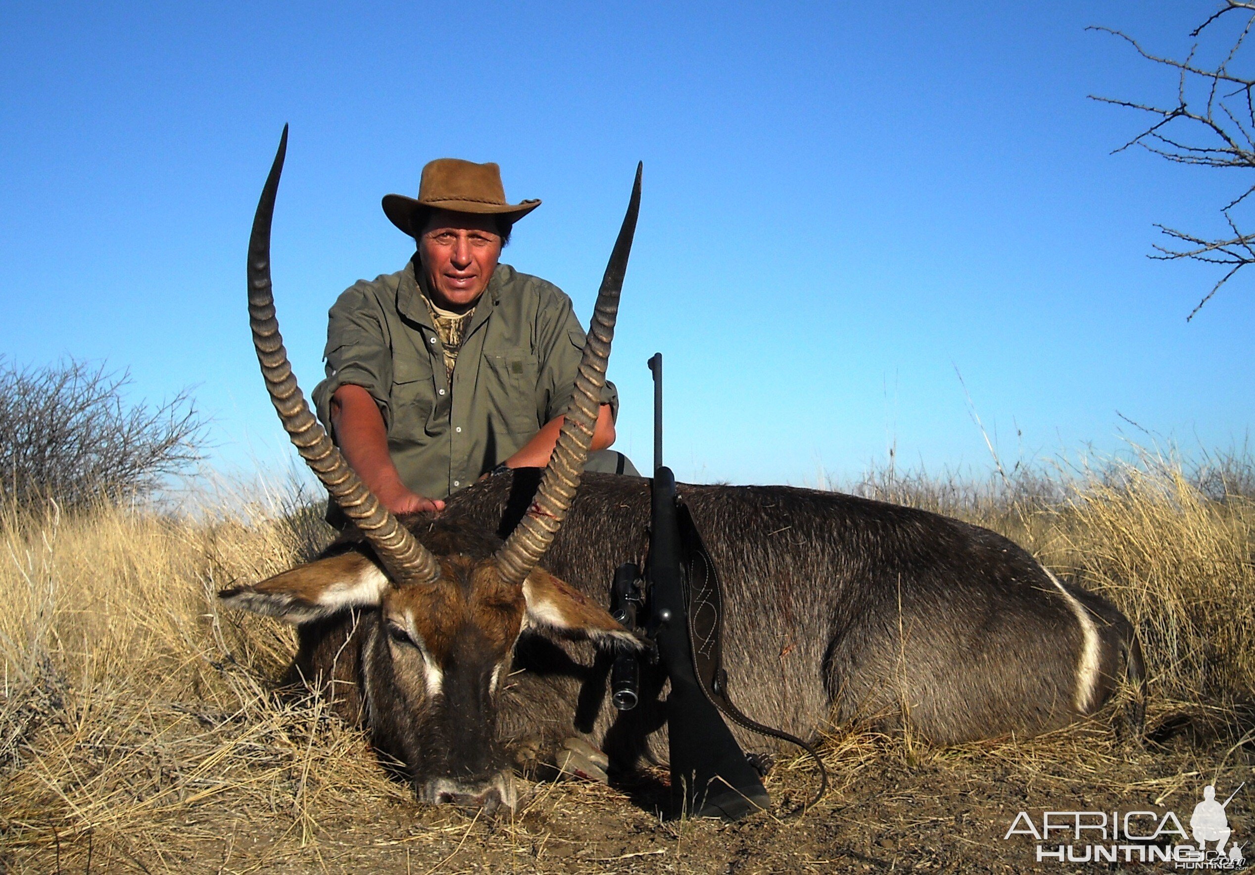 Waterbuck