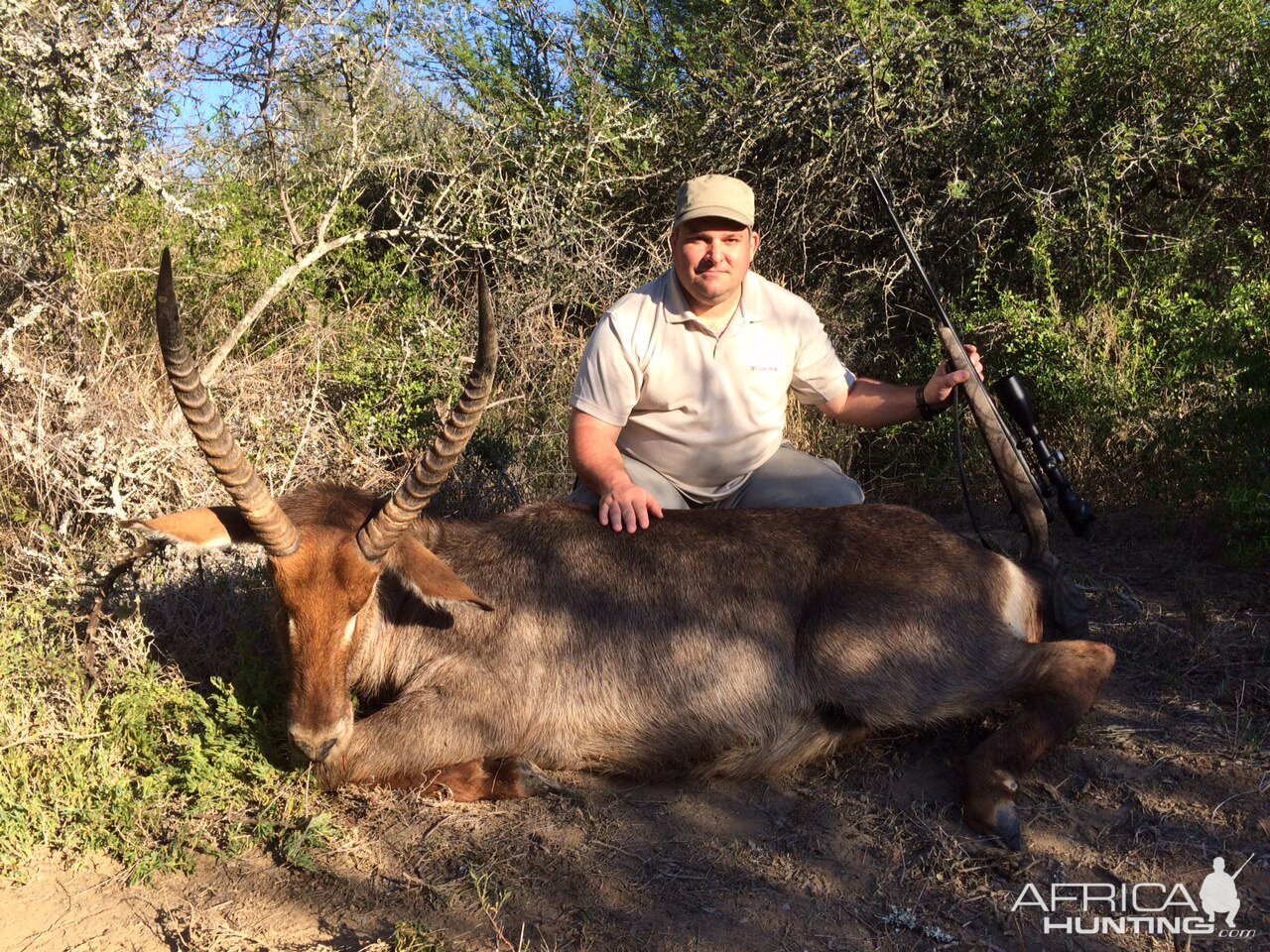 Waterbuck