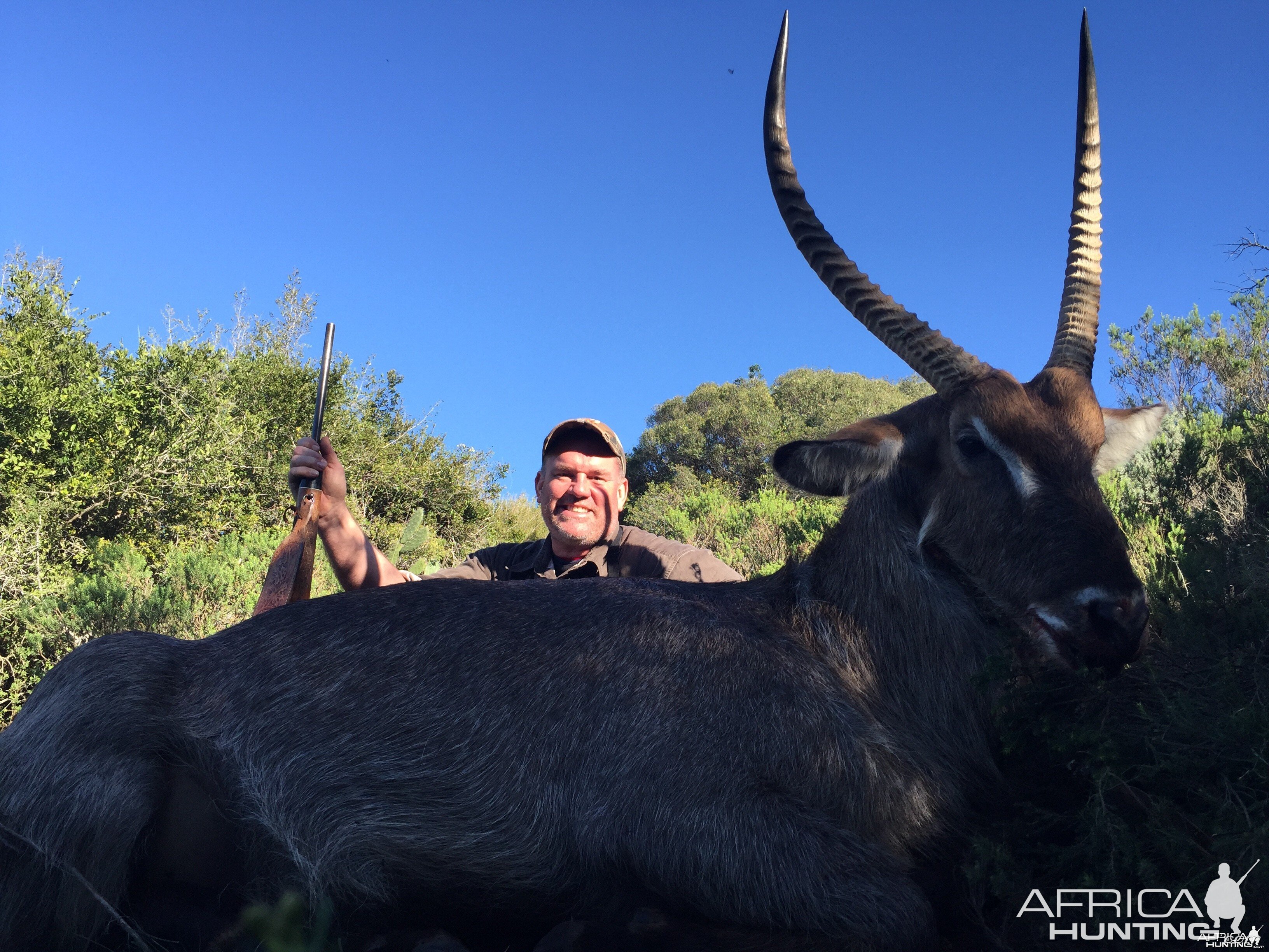 waterbuck