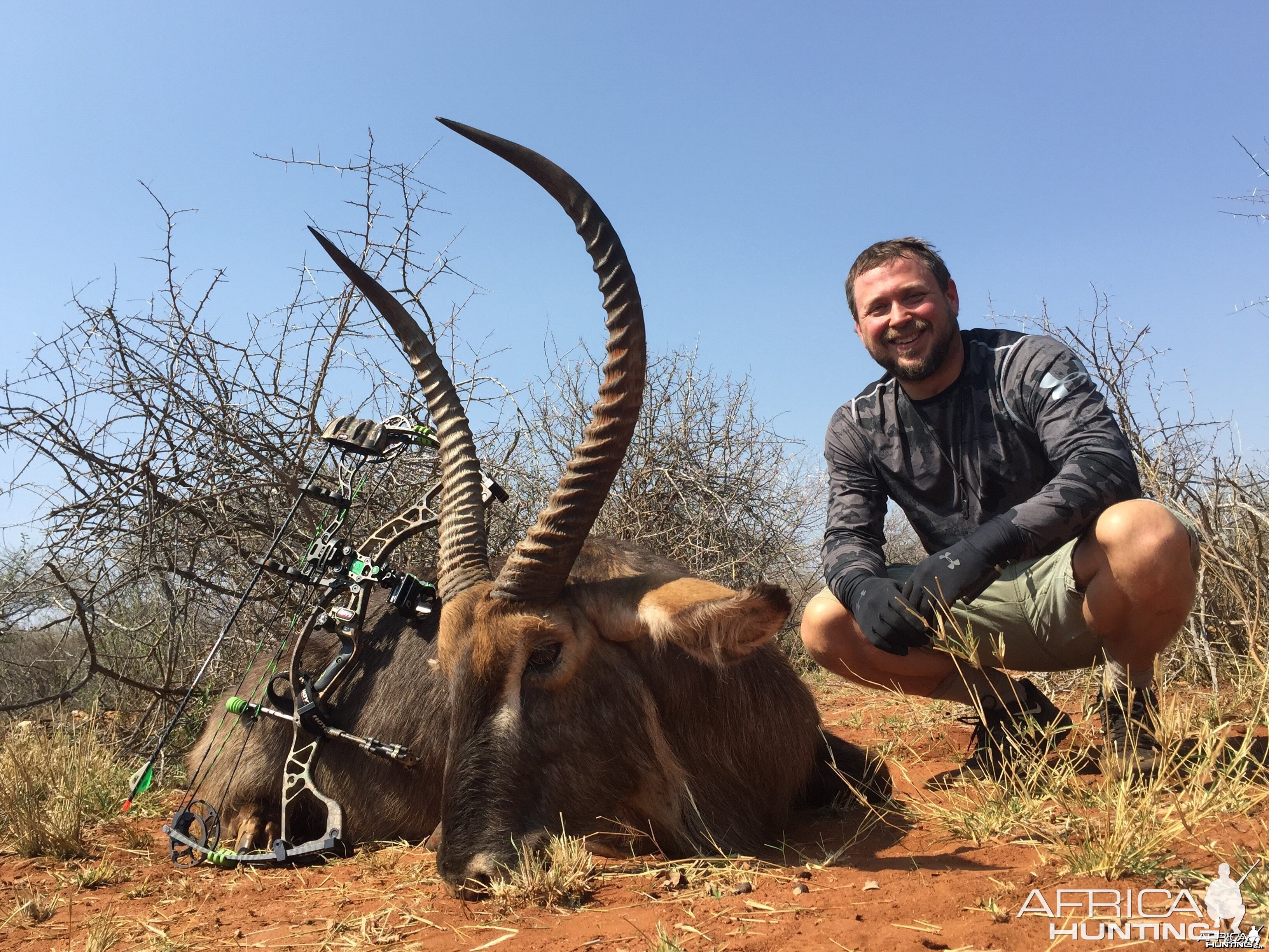 Waterbuck