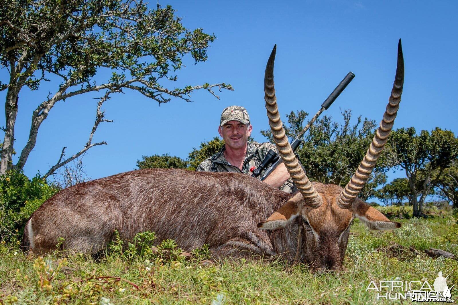 Waterbuck