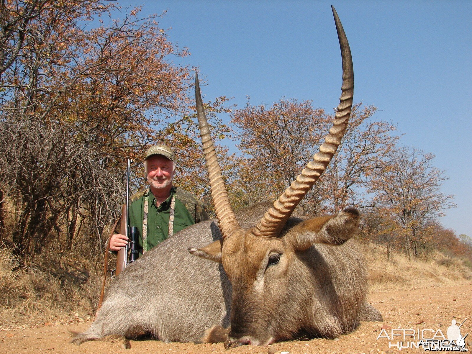 Waterbuck