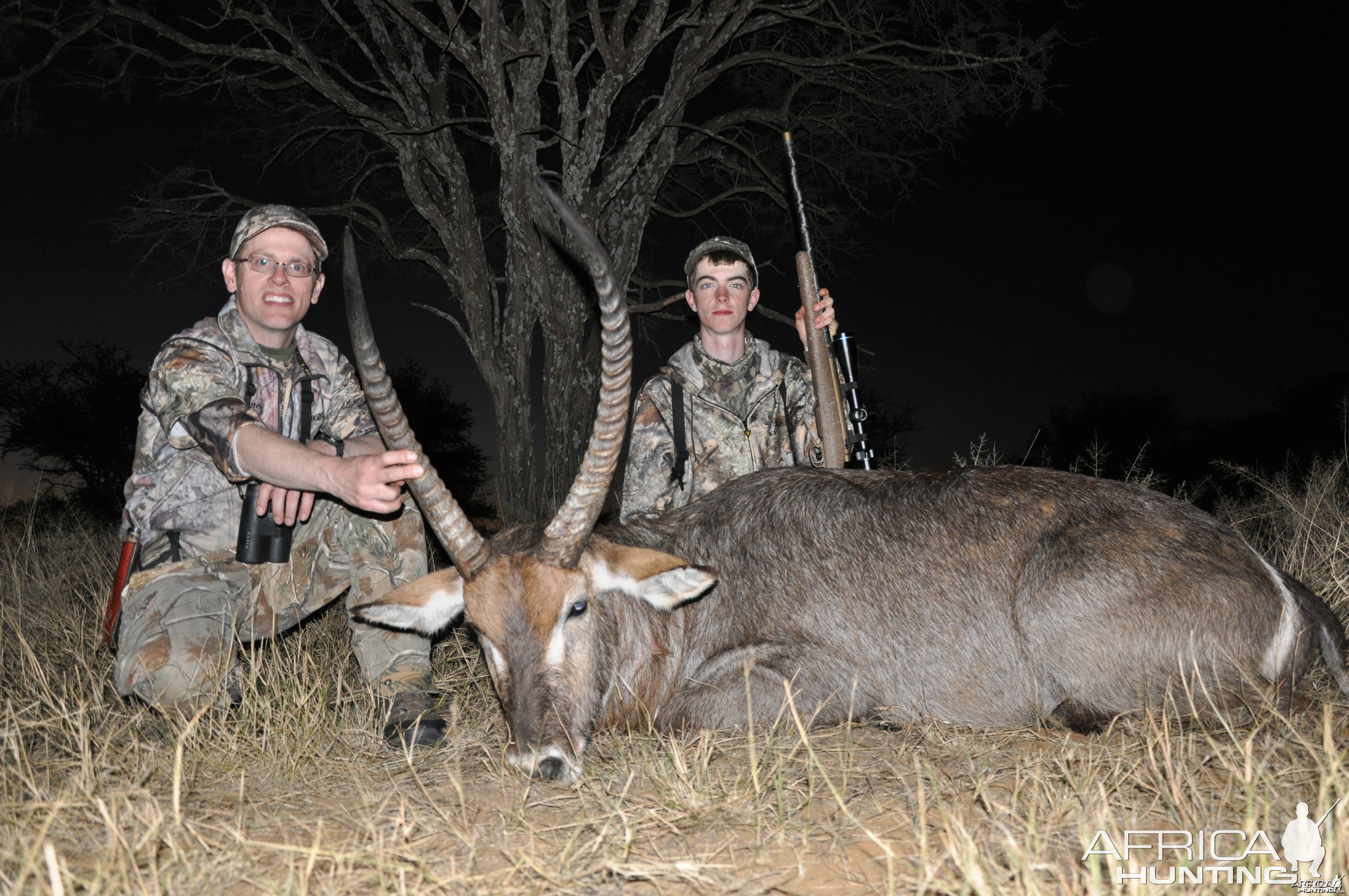 Waterbuck