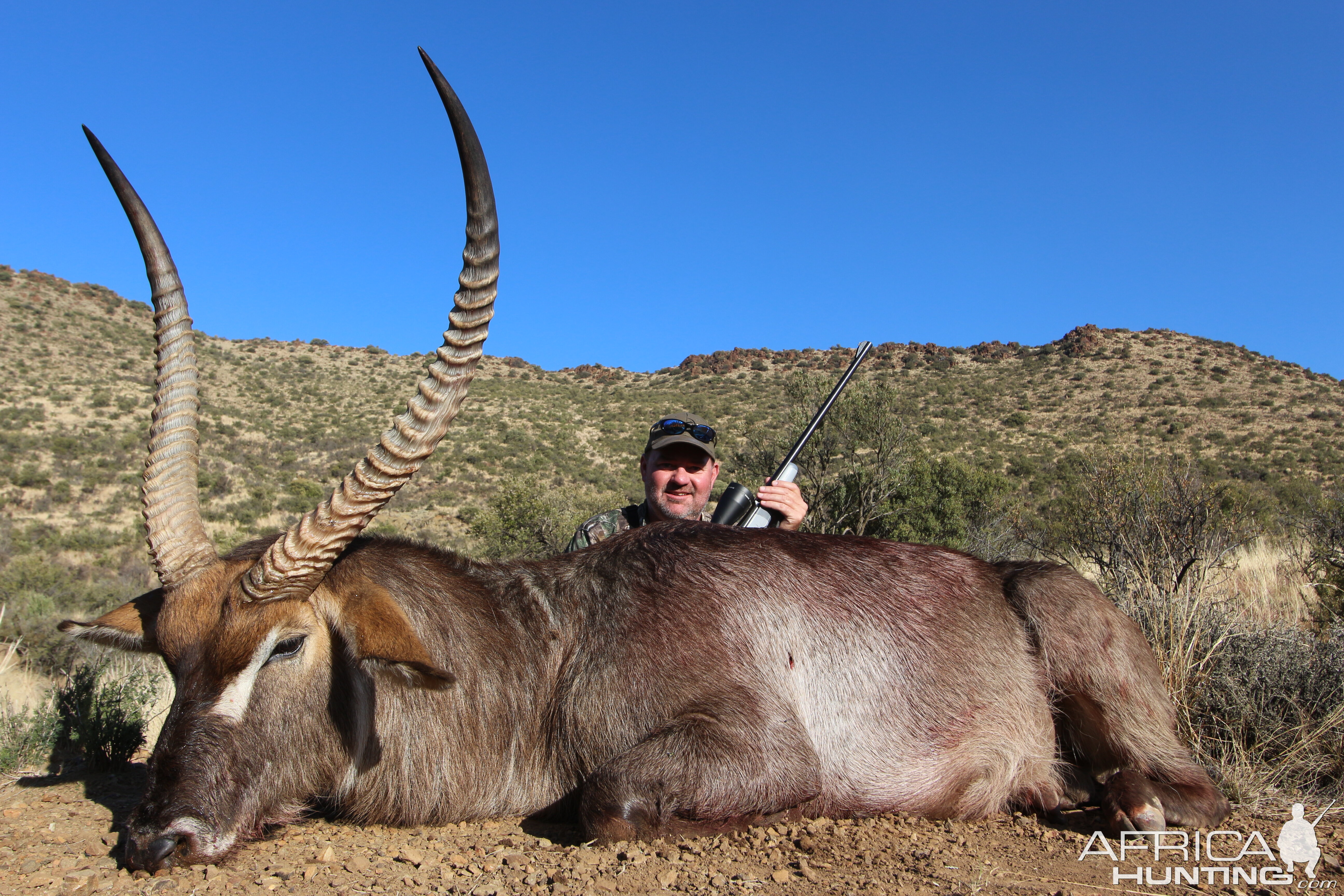 Waterbuck