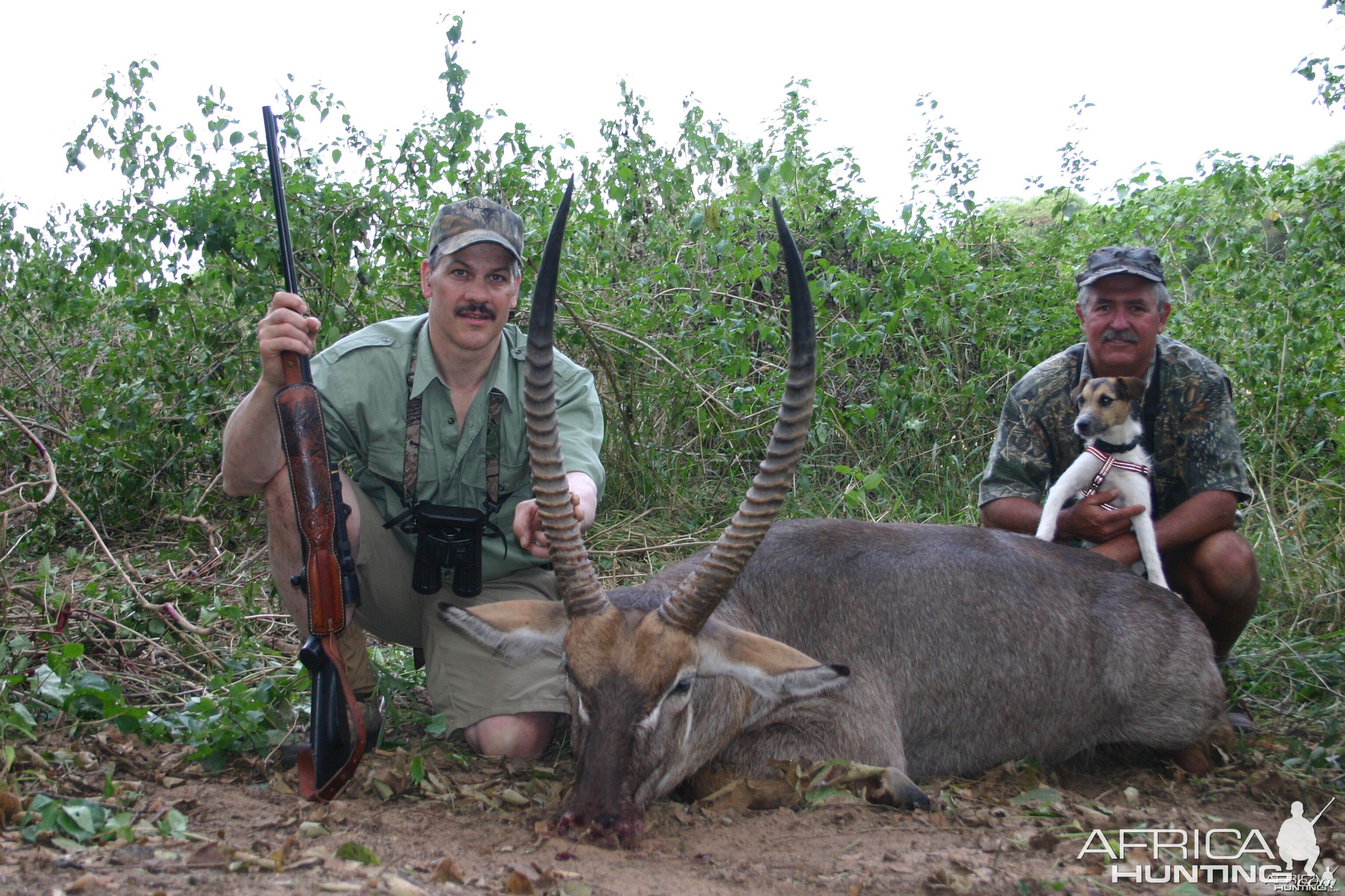 Waterbuck