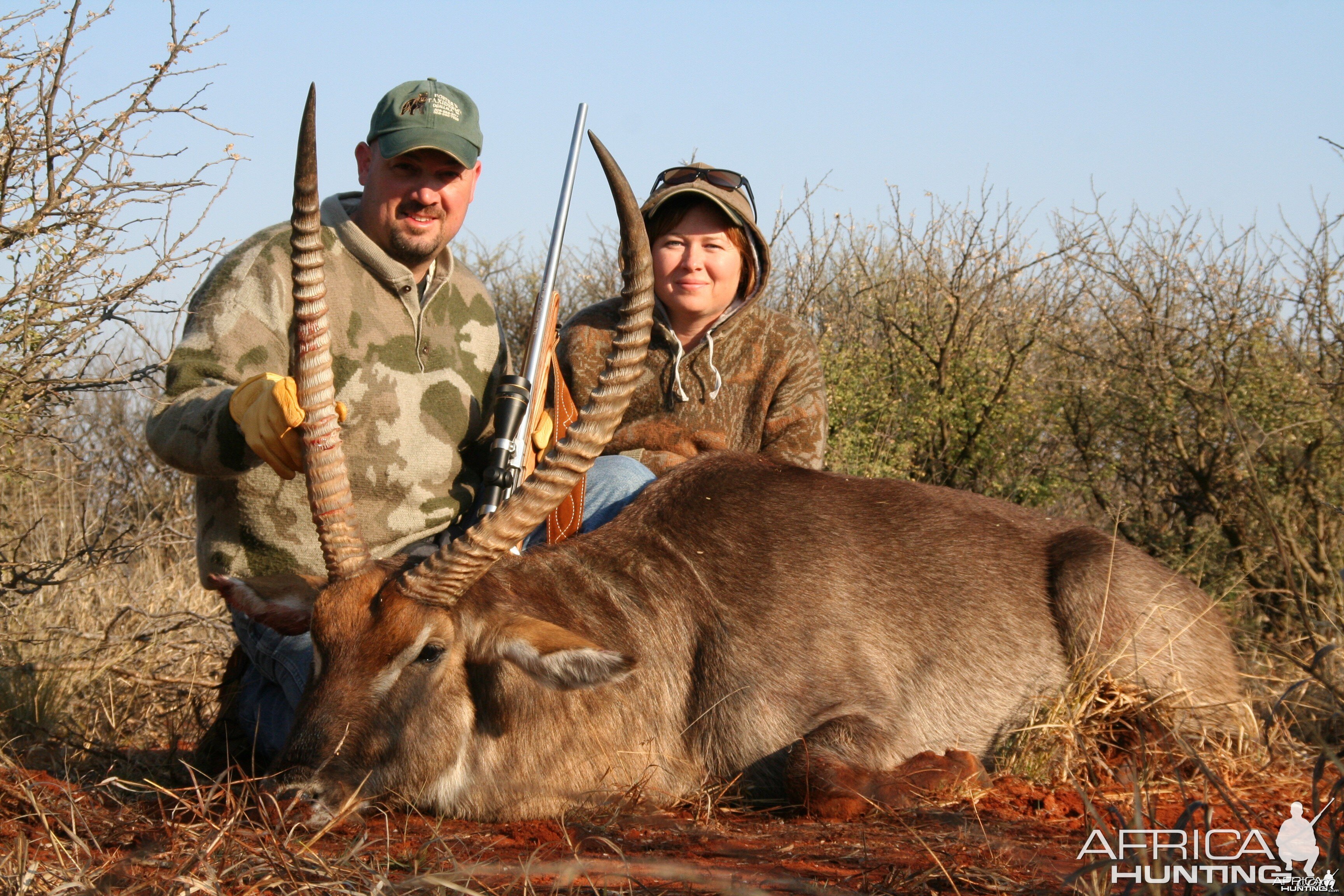 Waterbuck