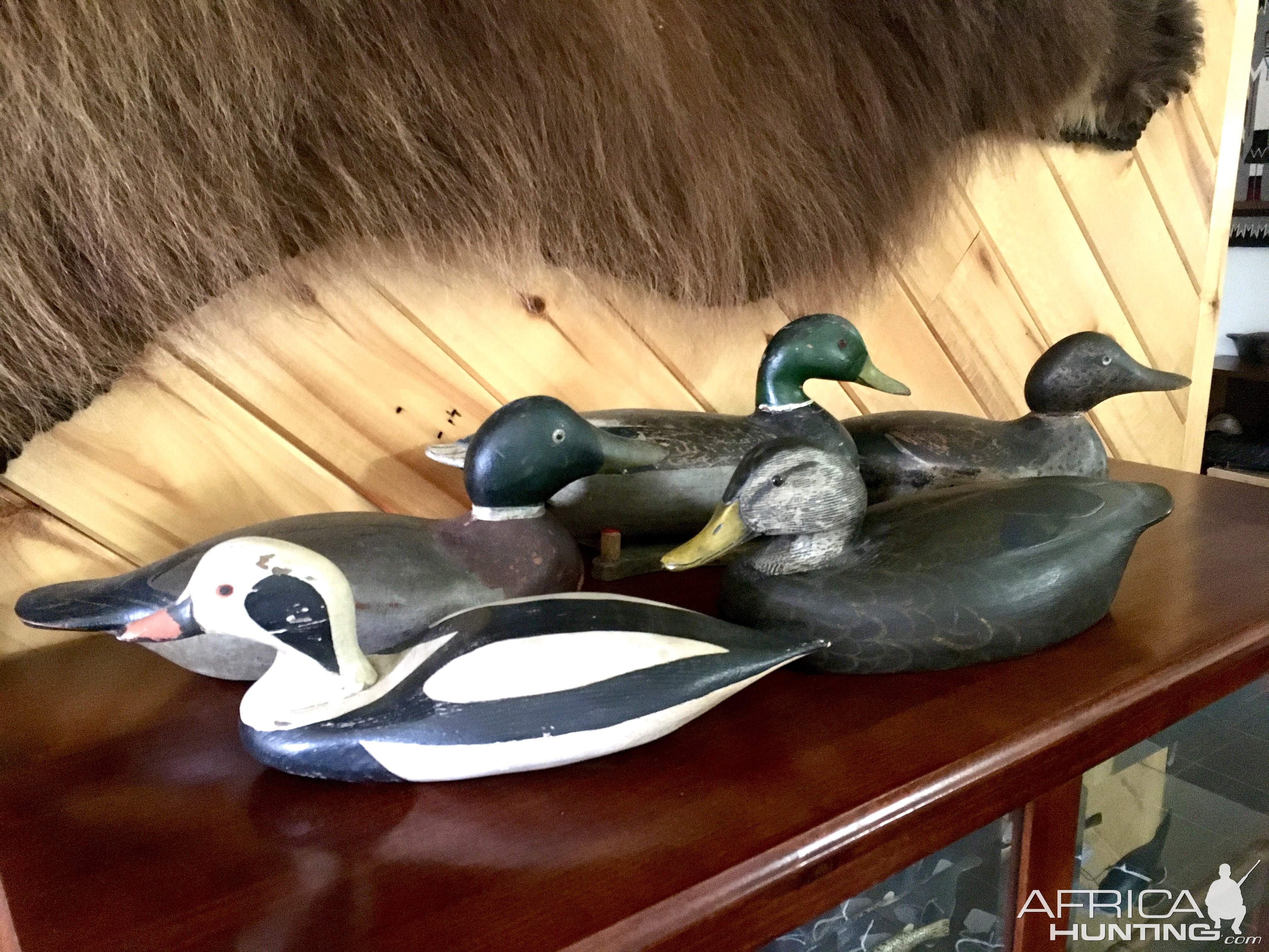 Waterfowl Decoys