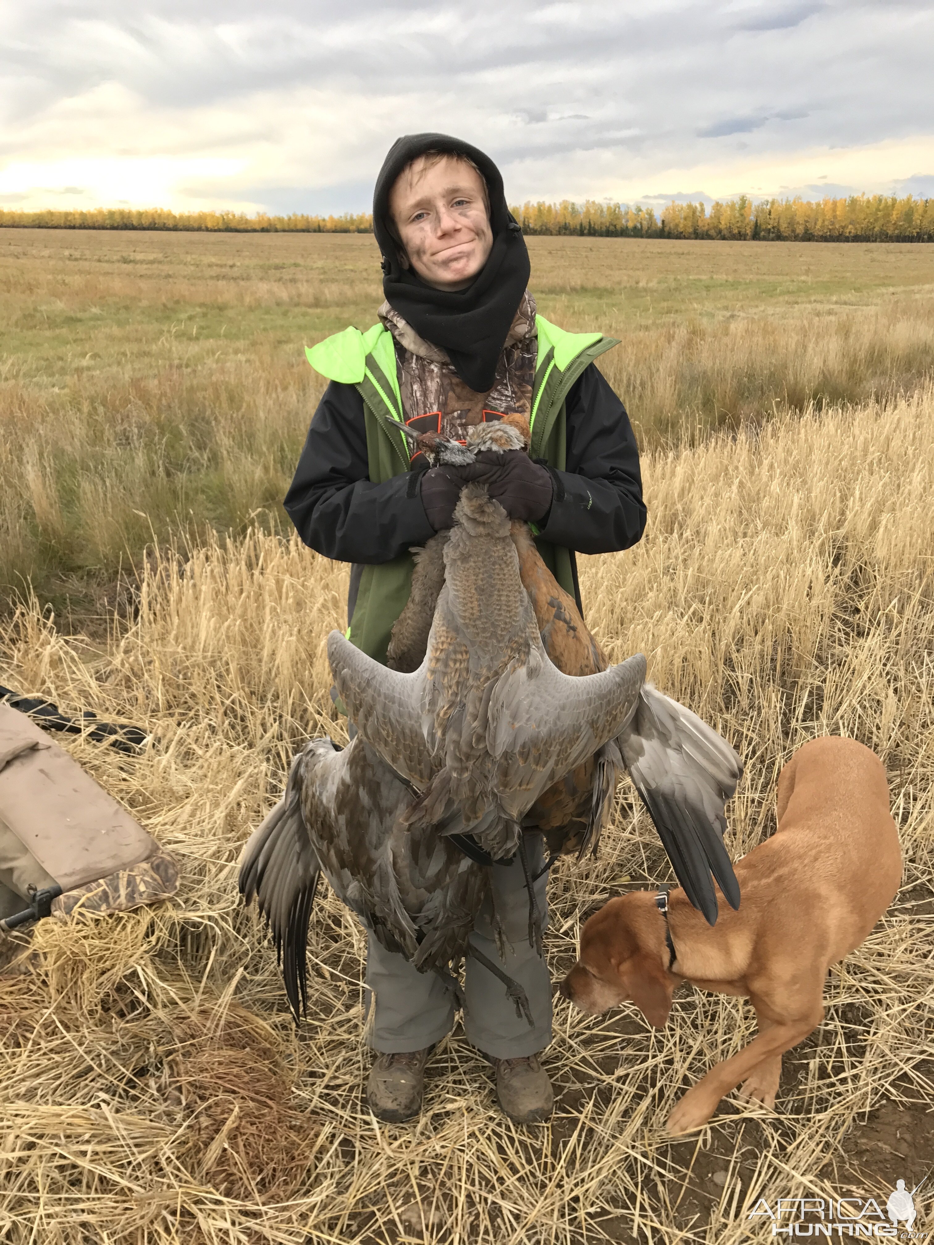 Waterfowl Hunting Sandhill Crane