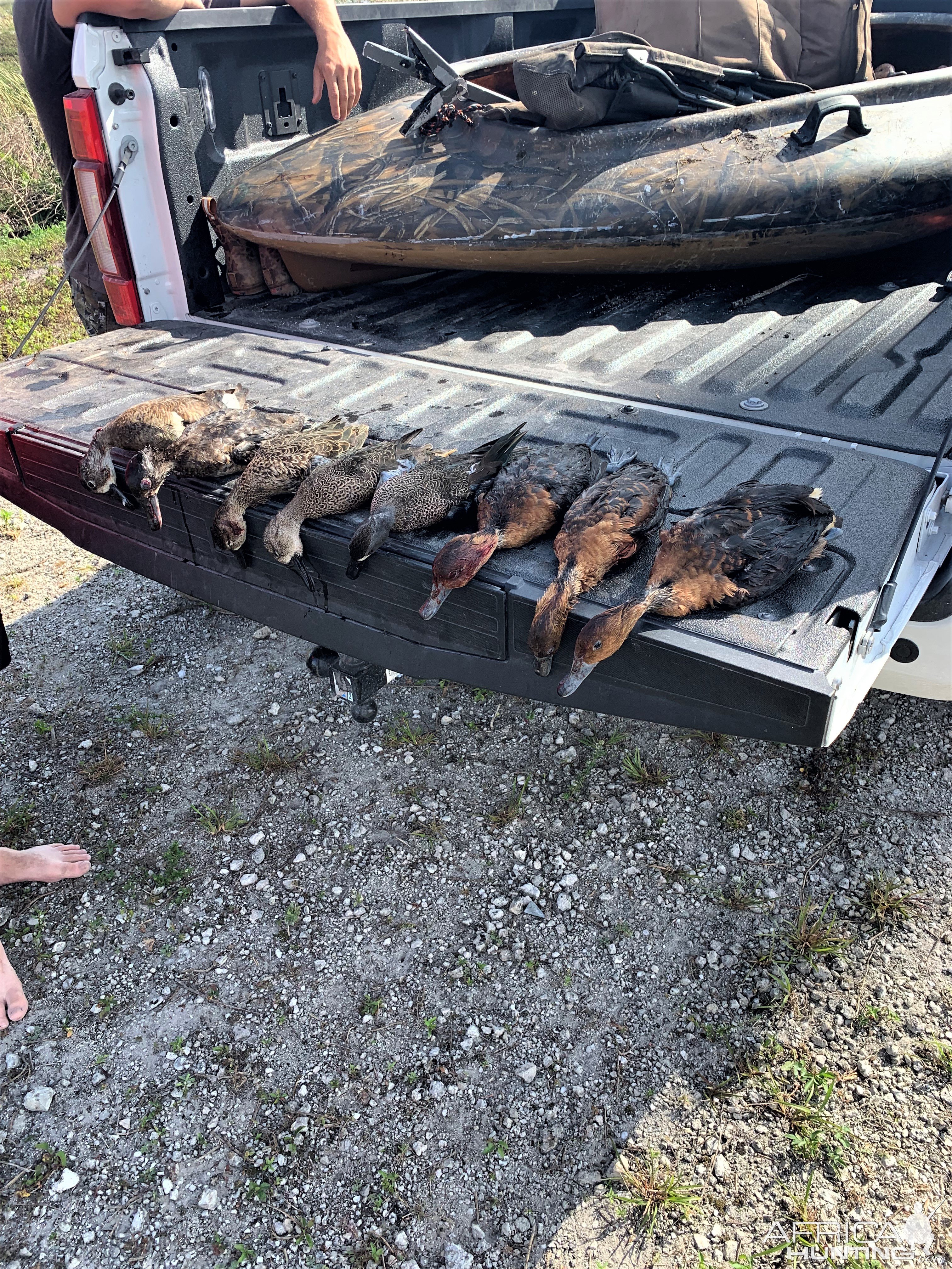 Waterfowl Hunting