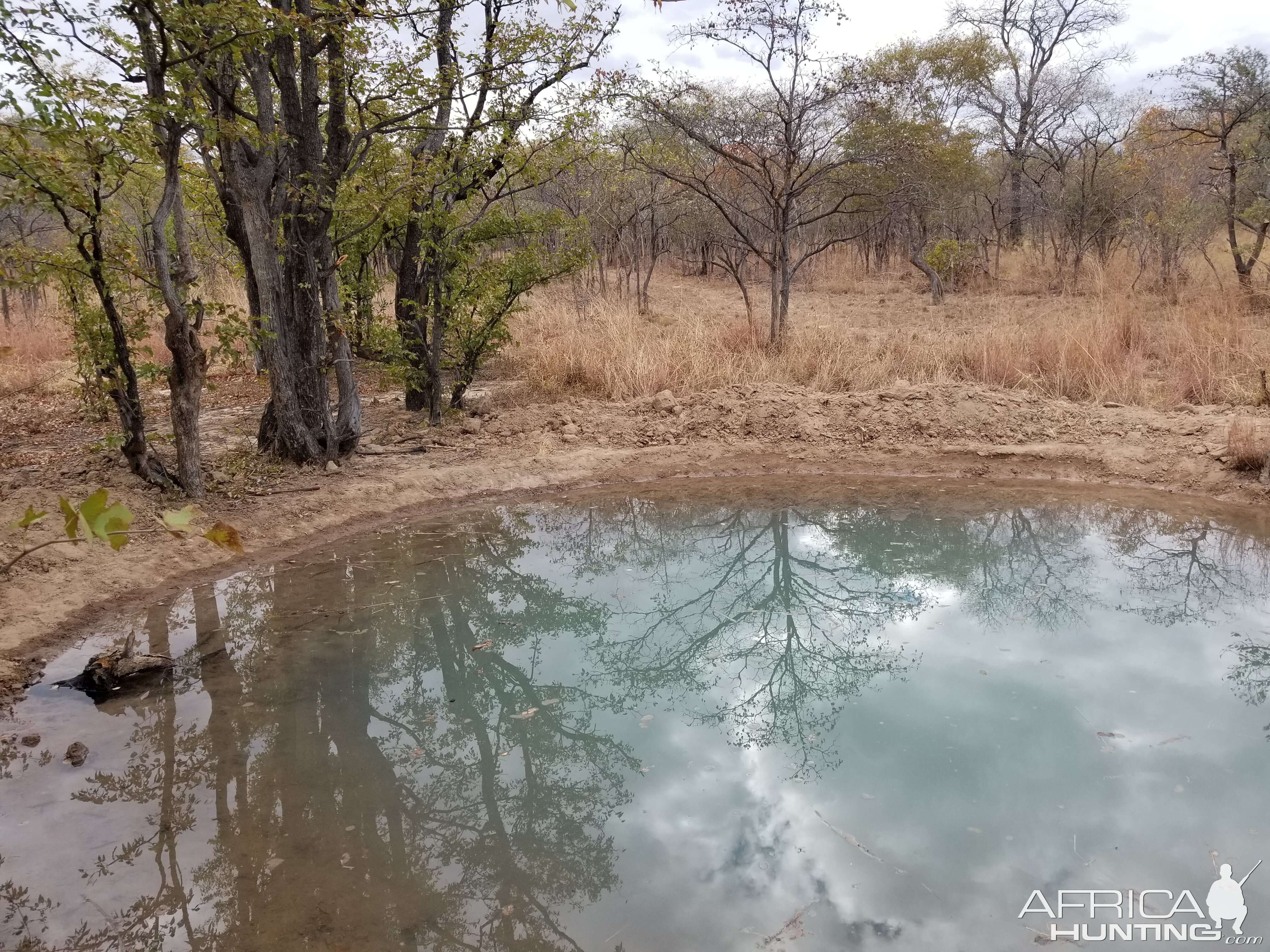 Waterhole at camp