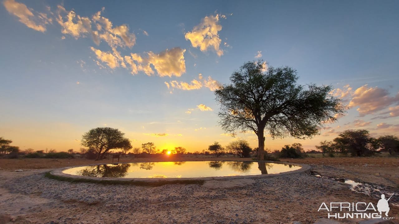 Waterhole Kalahari South Africa