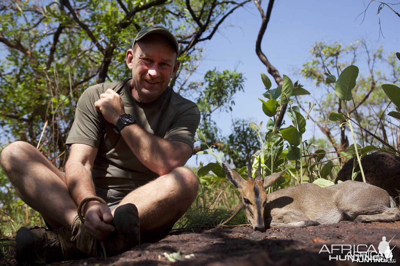 West African Bush Duiker