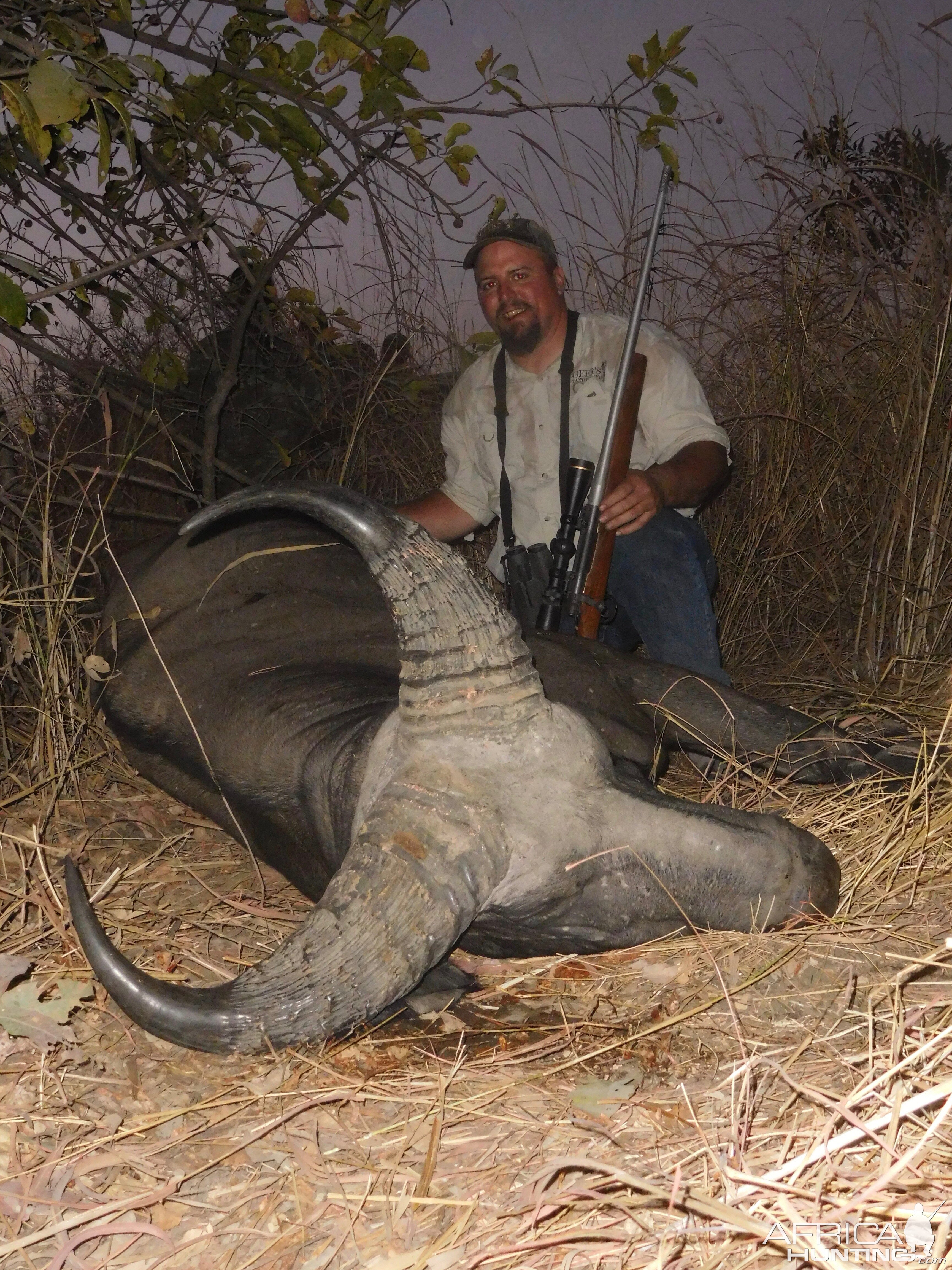 West African Savanah Buffalo Hunt in Burkina Faso