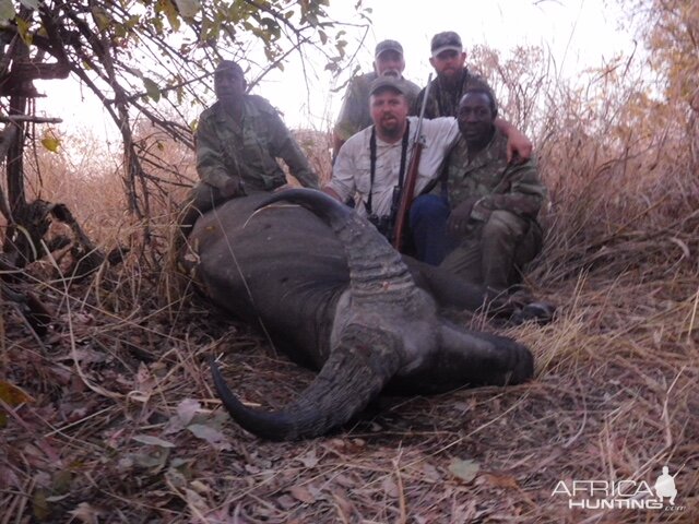 West African Savanna Buffalo Hunting Burkina Faso