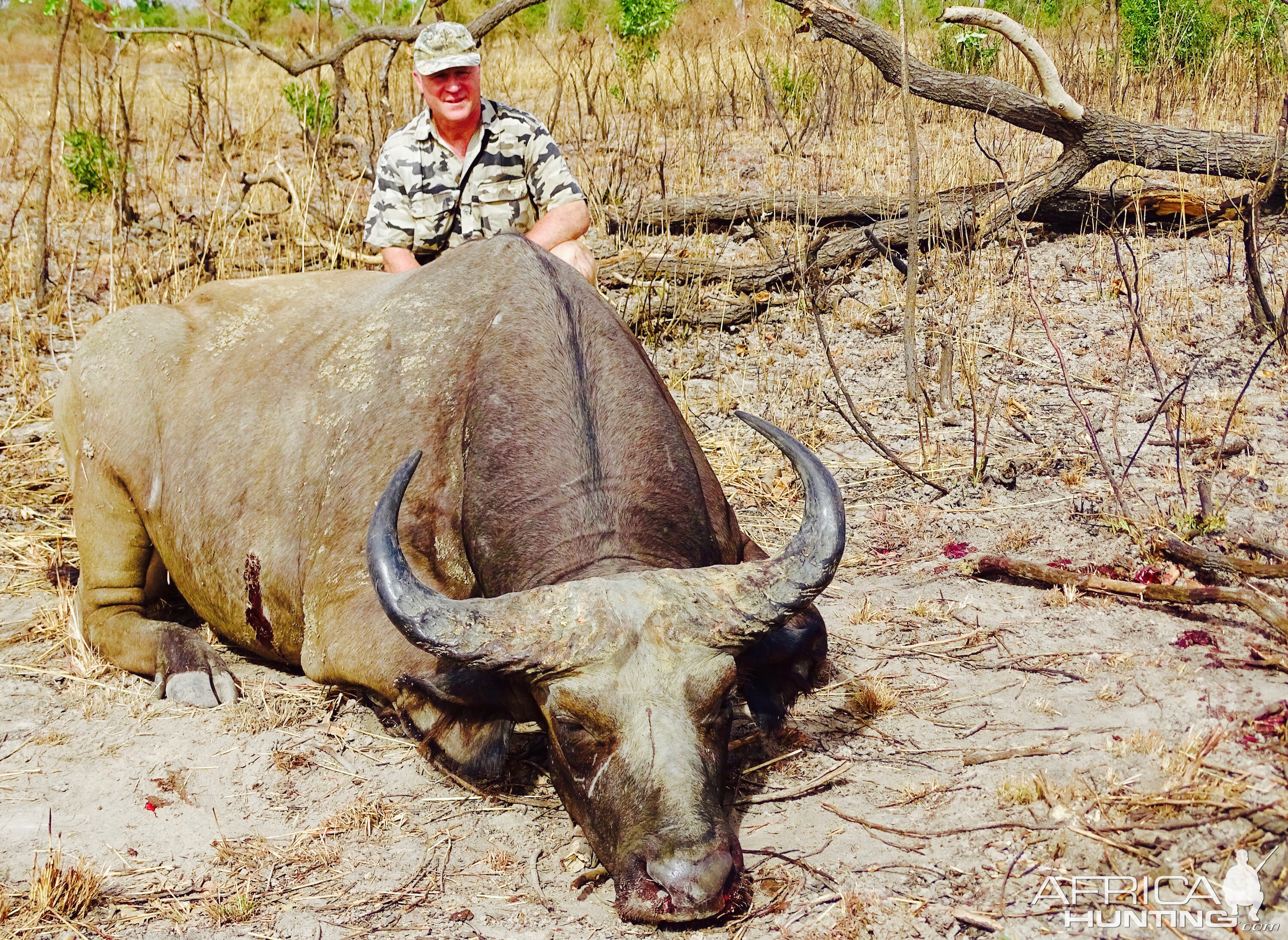 West African Savanna Buffalo Hunting