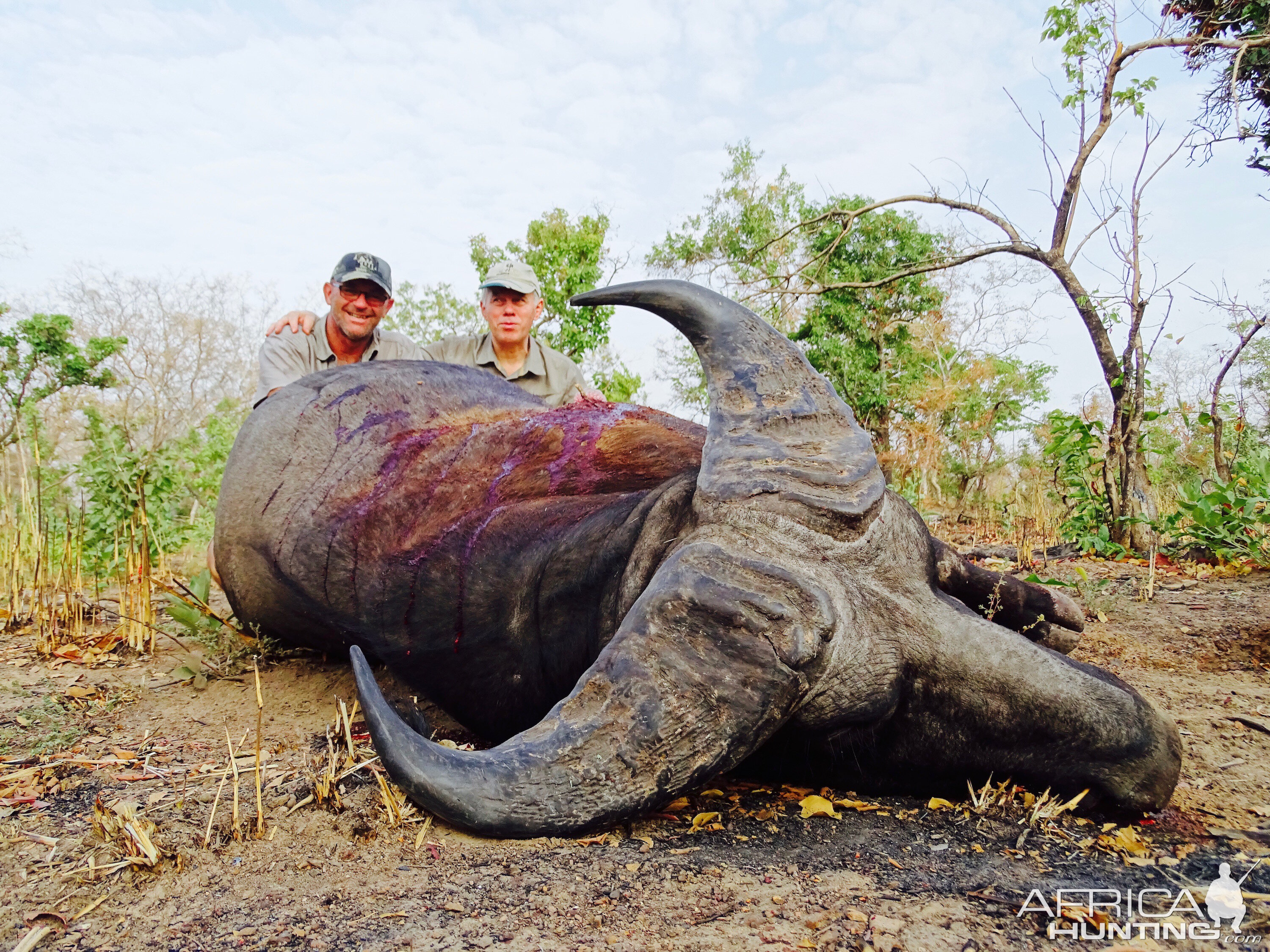 West African Savanna Buffalo Hunting