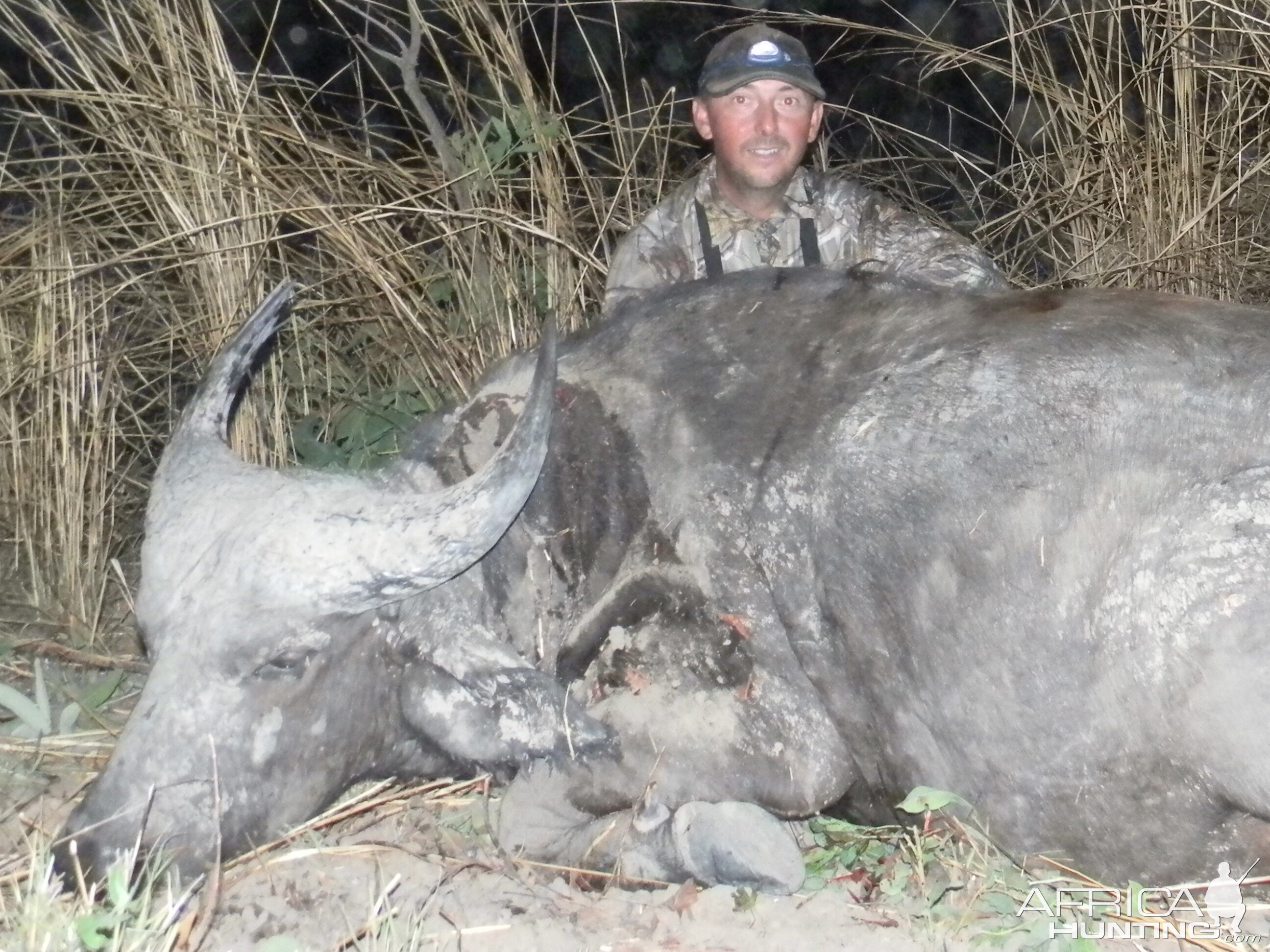 West African Savannah Buffalo hunted in Benin with Club Faune