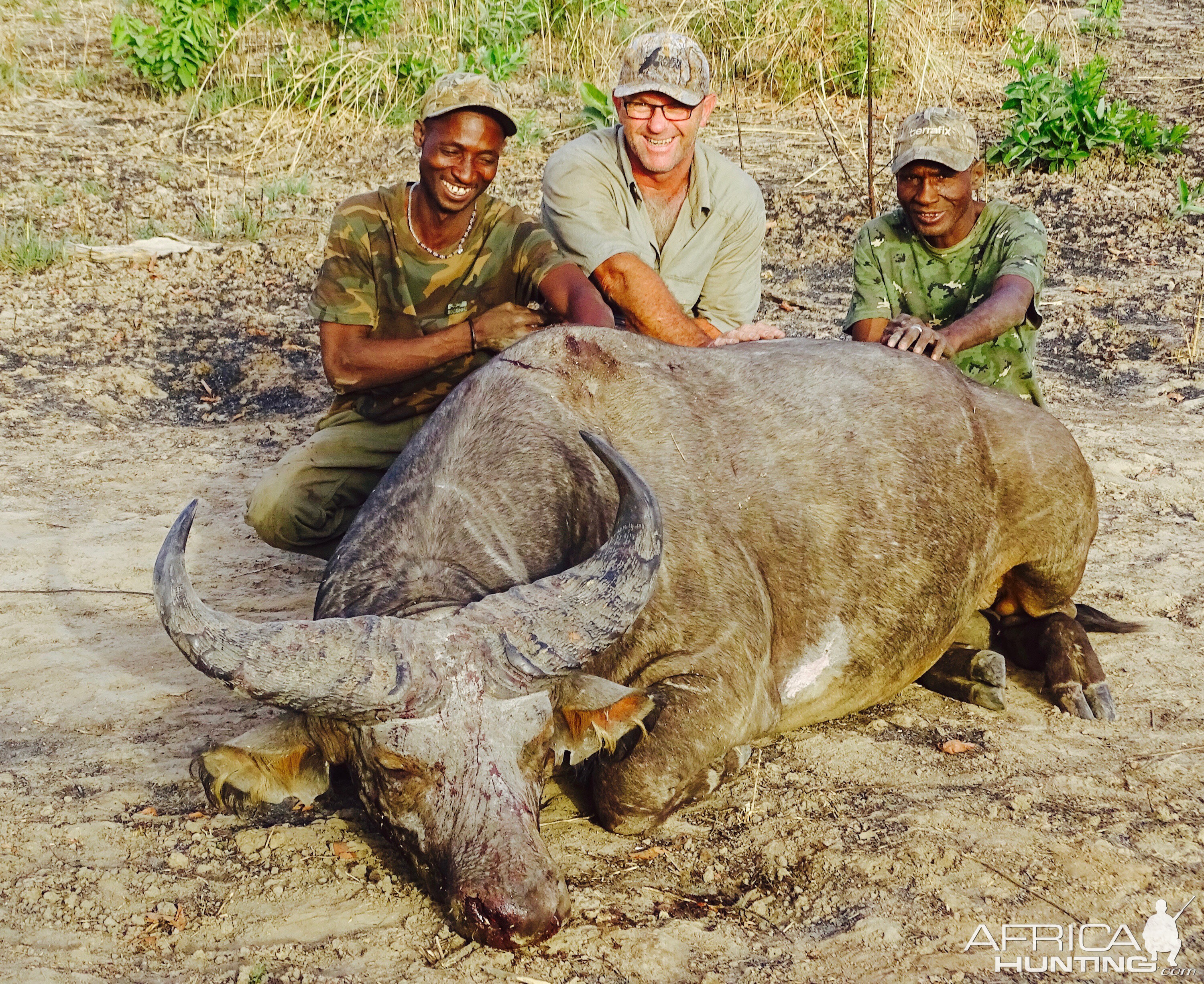 West African Savannah Buffalo Hunting in Benin