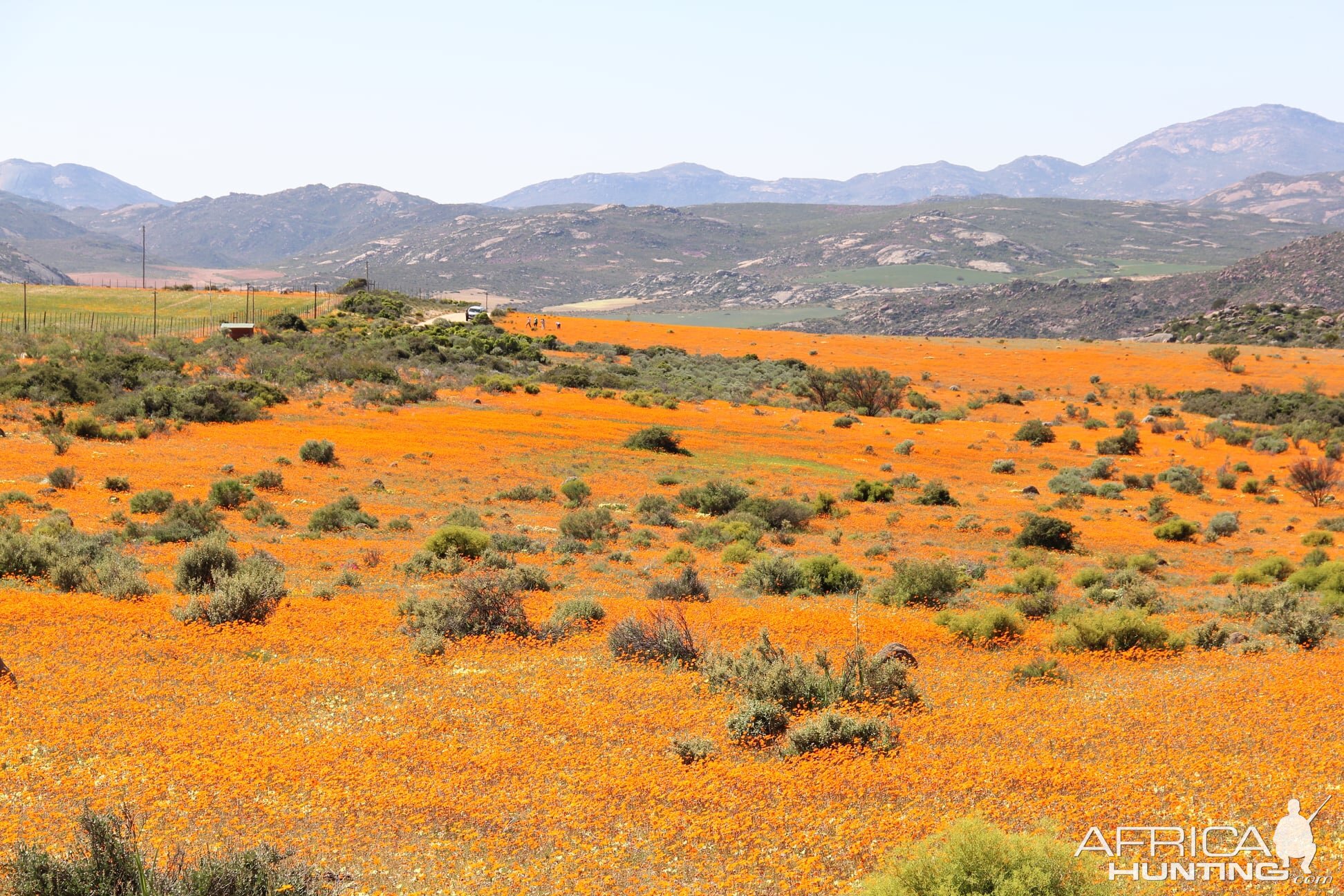 West Coast and Namaqualand Tour South Africa