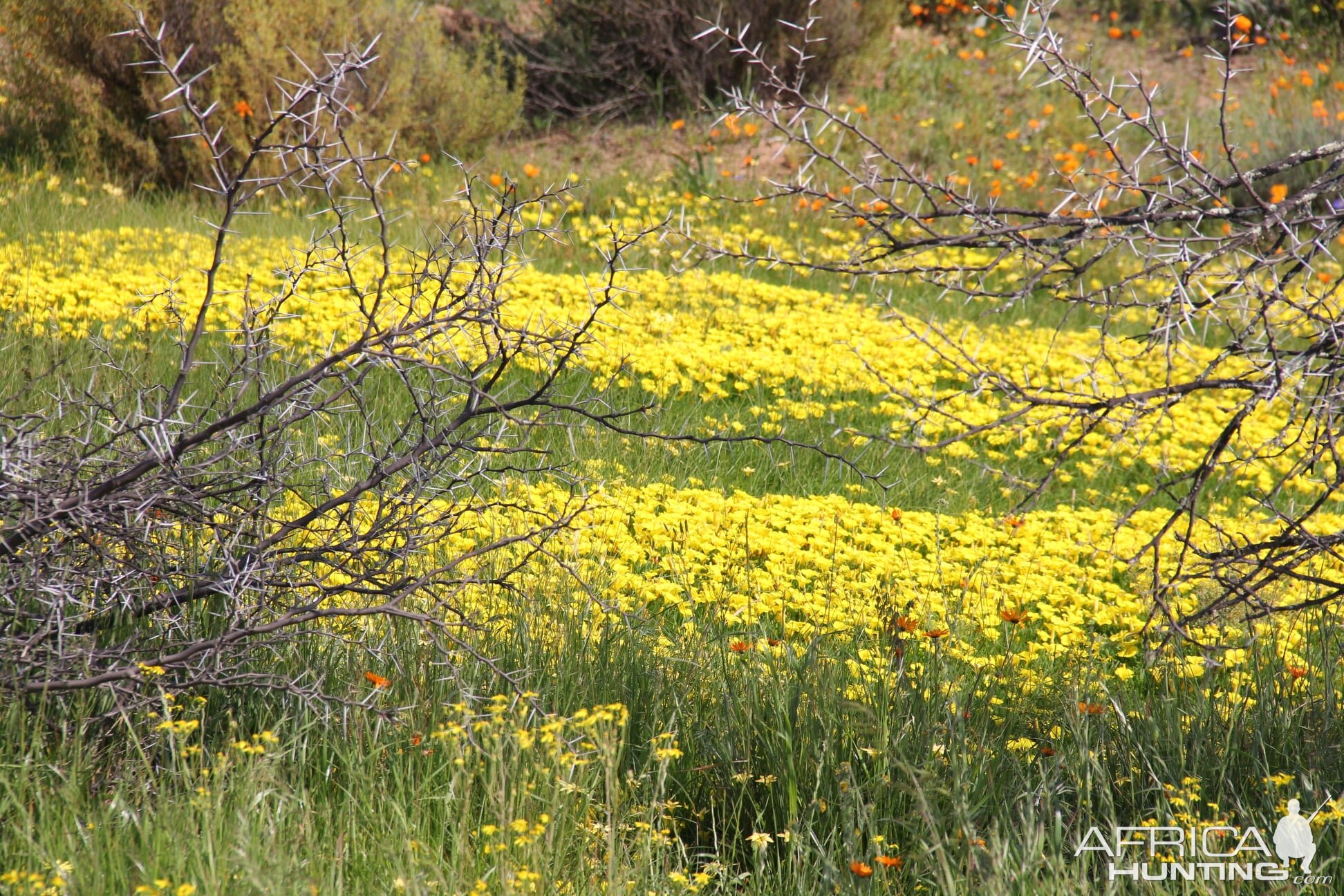 West Coast and Namaqualand Tour South Africa