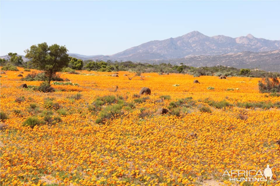 West Coast and Namaqualand Tour South Africa