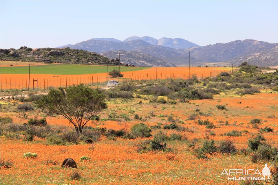 West Coast and Namaqualand Tour South Africa