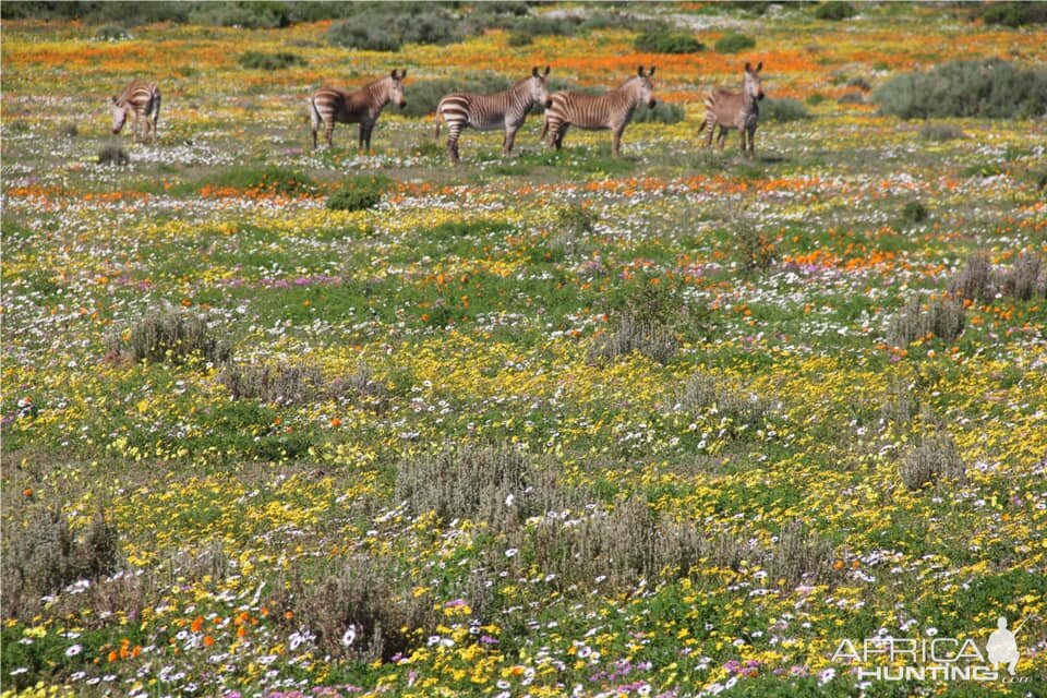 West Coast and Namaqualand Tour South Africa