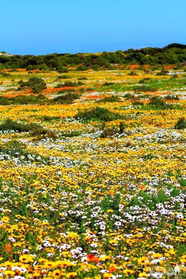 West Coast and Namaqualand Tour South Africa