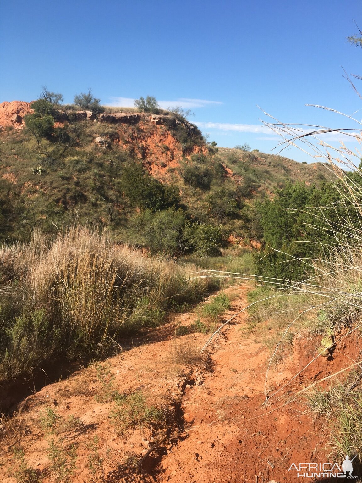 West Texas Aoudad Hunt