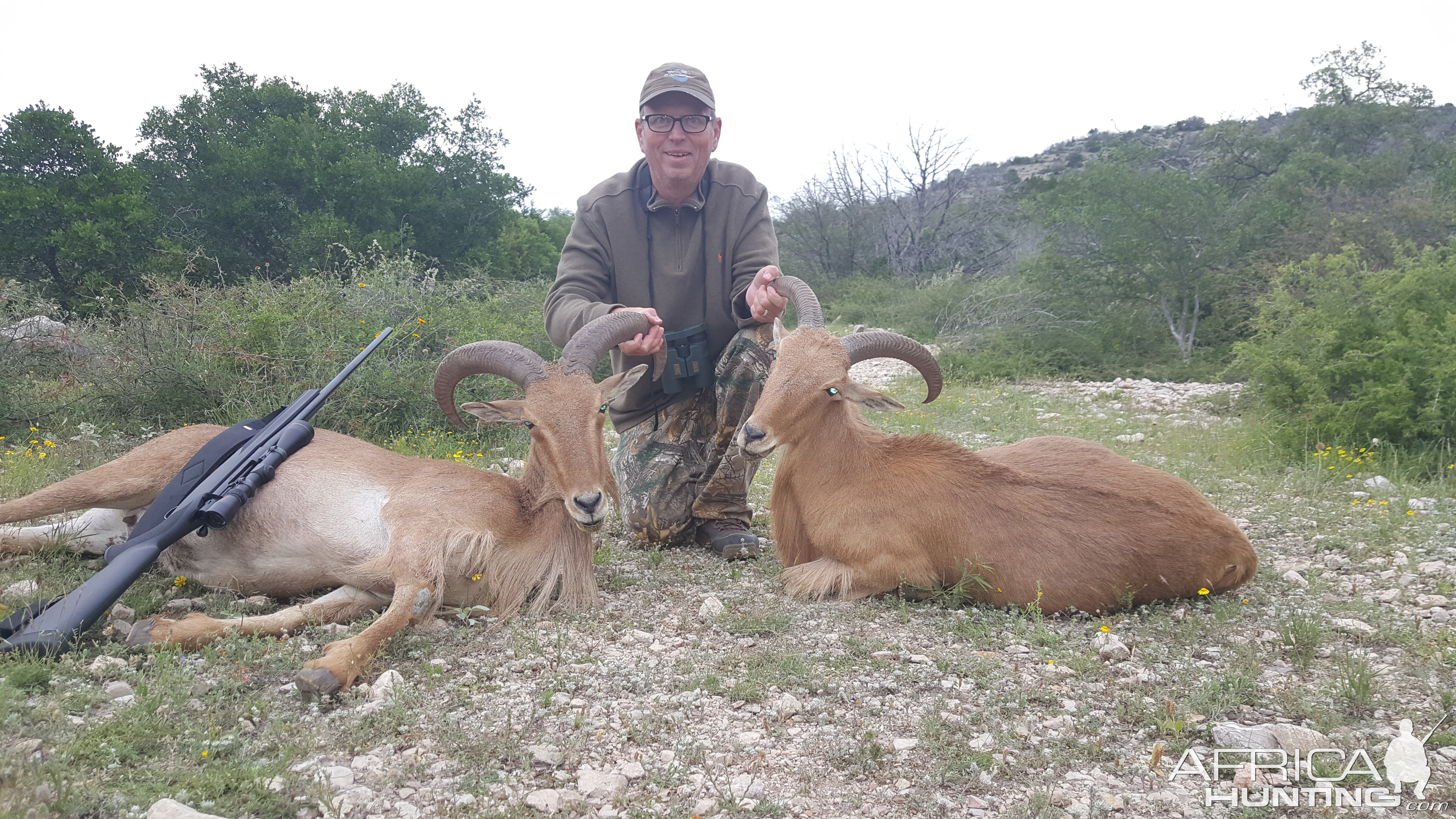 West Texas Aoudad Hunting