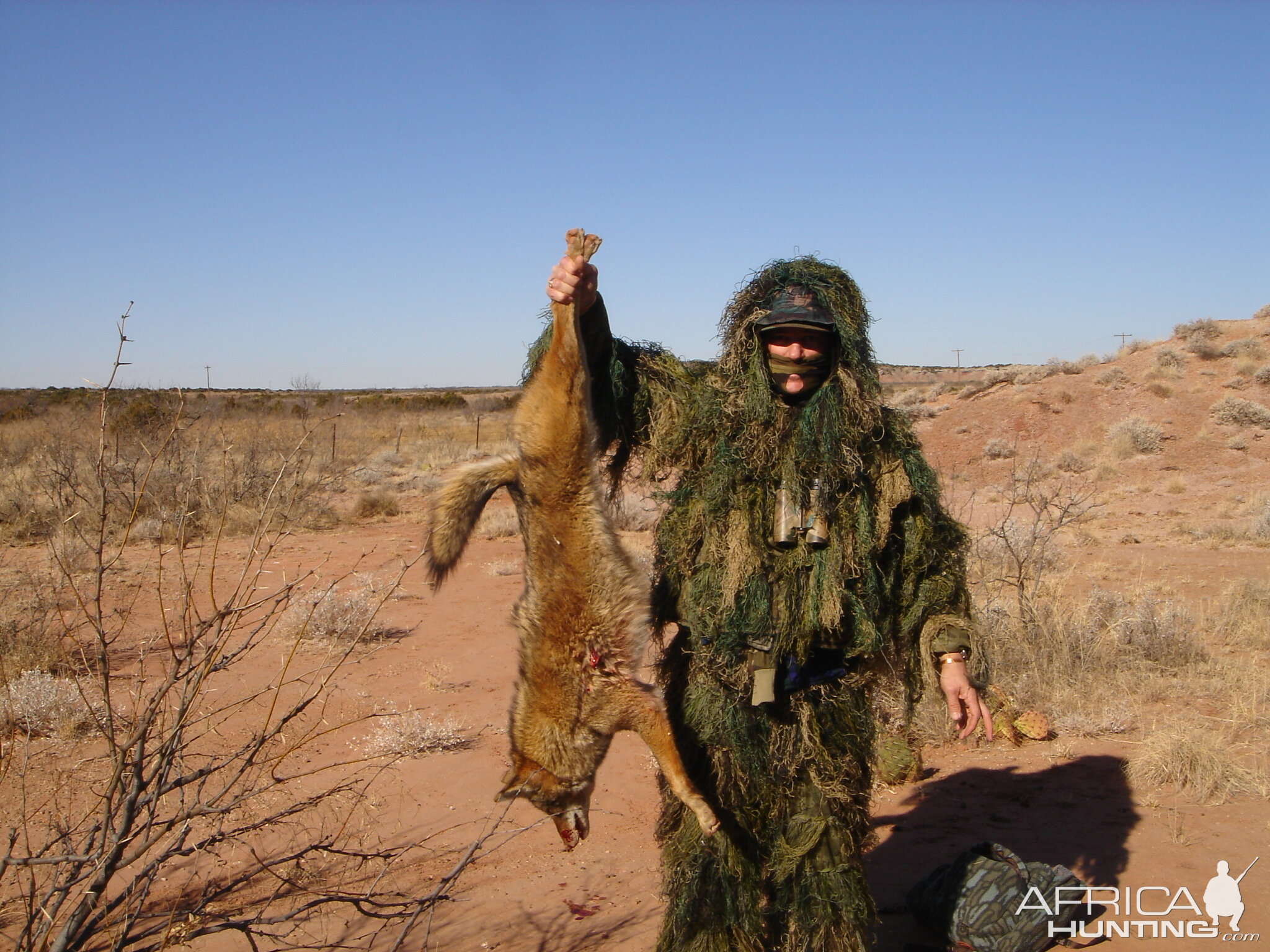 West Texas Coyote Hunting