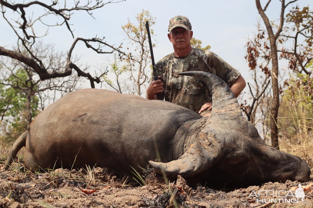 Western Buffalo Hunt Cameroon