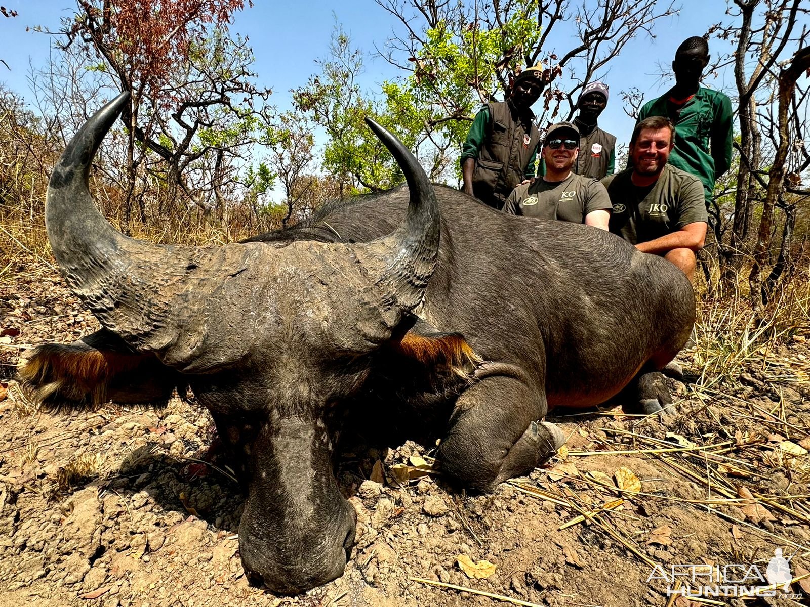 Western Buffalo Hunt Cameroon