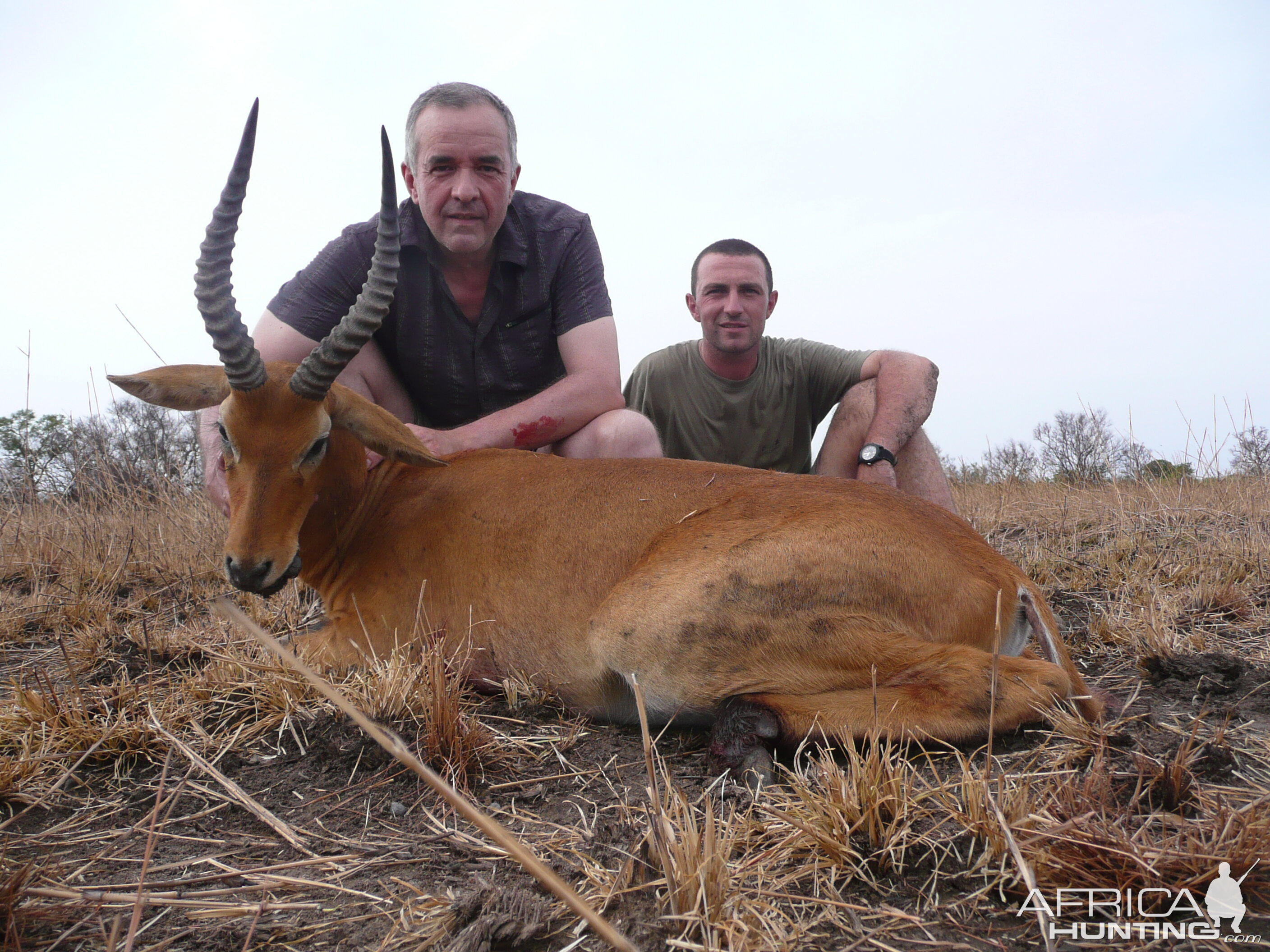 Western/Buffon Kob hunted in Benin with Club Faune