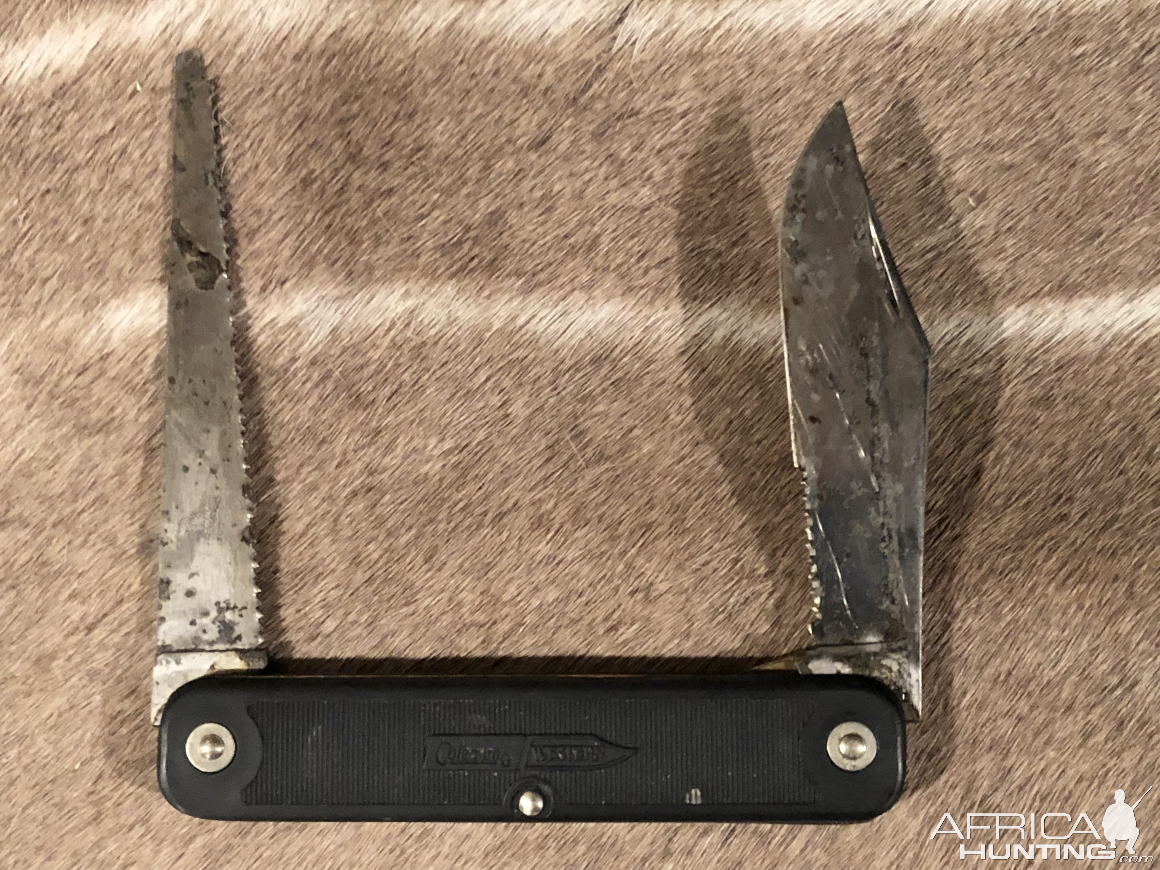 Western Cutlery Survival Knife