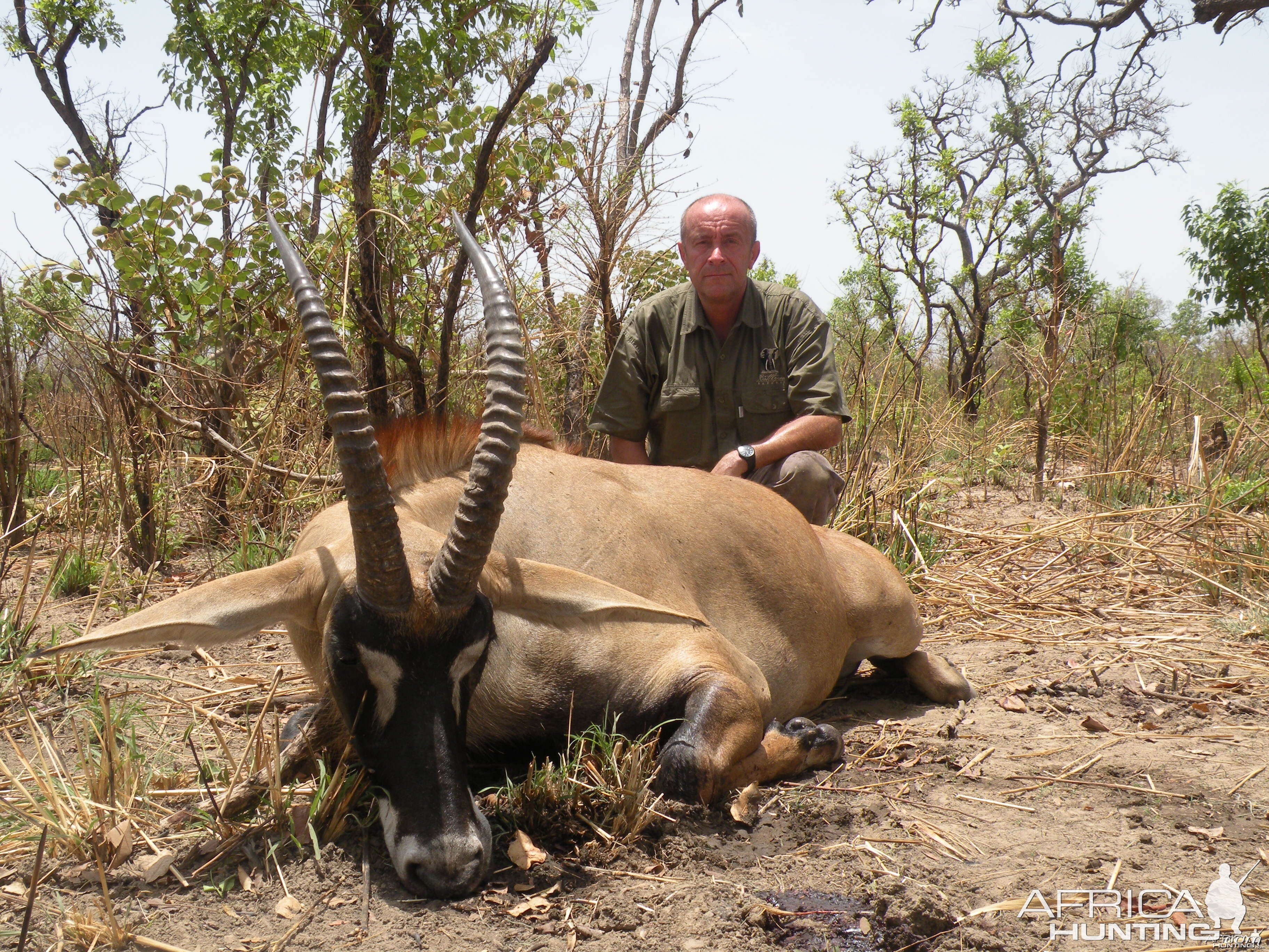 Western Roan Antelope hunted in Benin with Club Faune