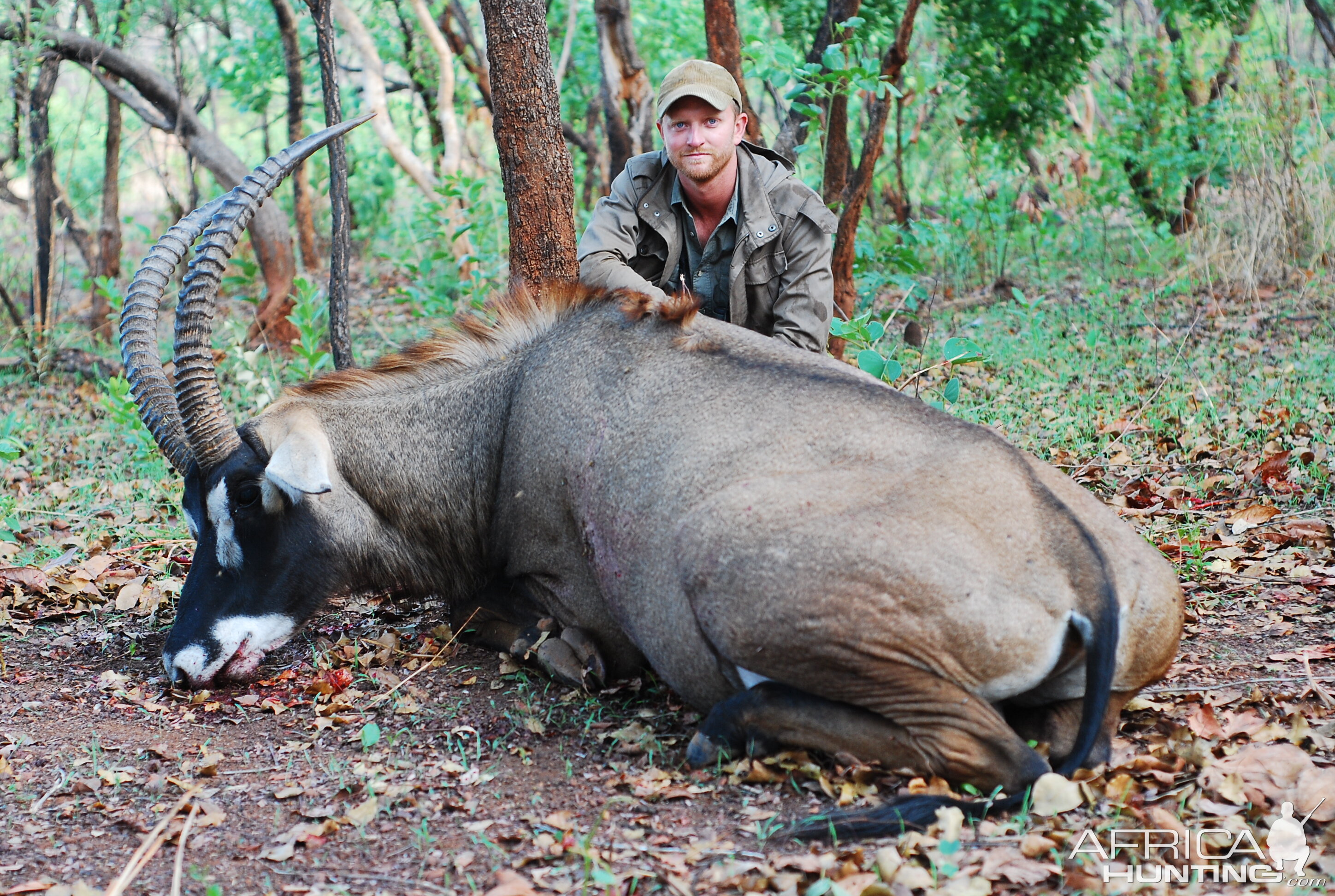 Western Roan hunted with CAWA-Safari, CAR 2011, 32 inches