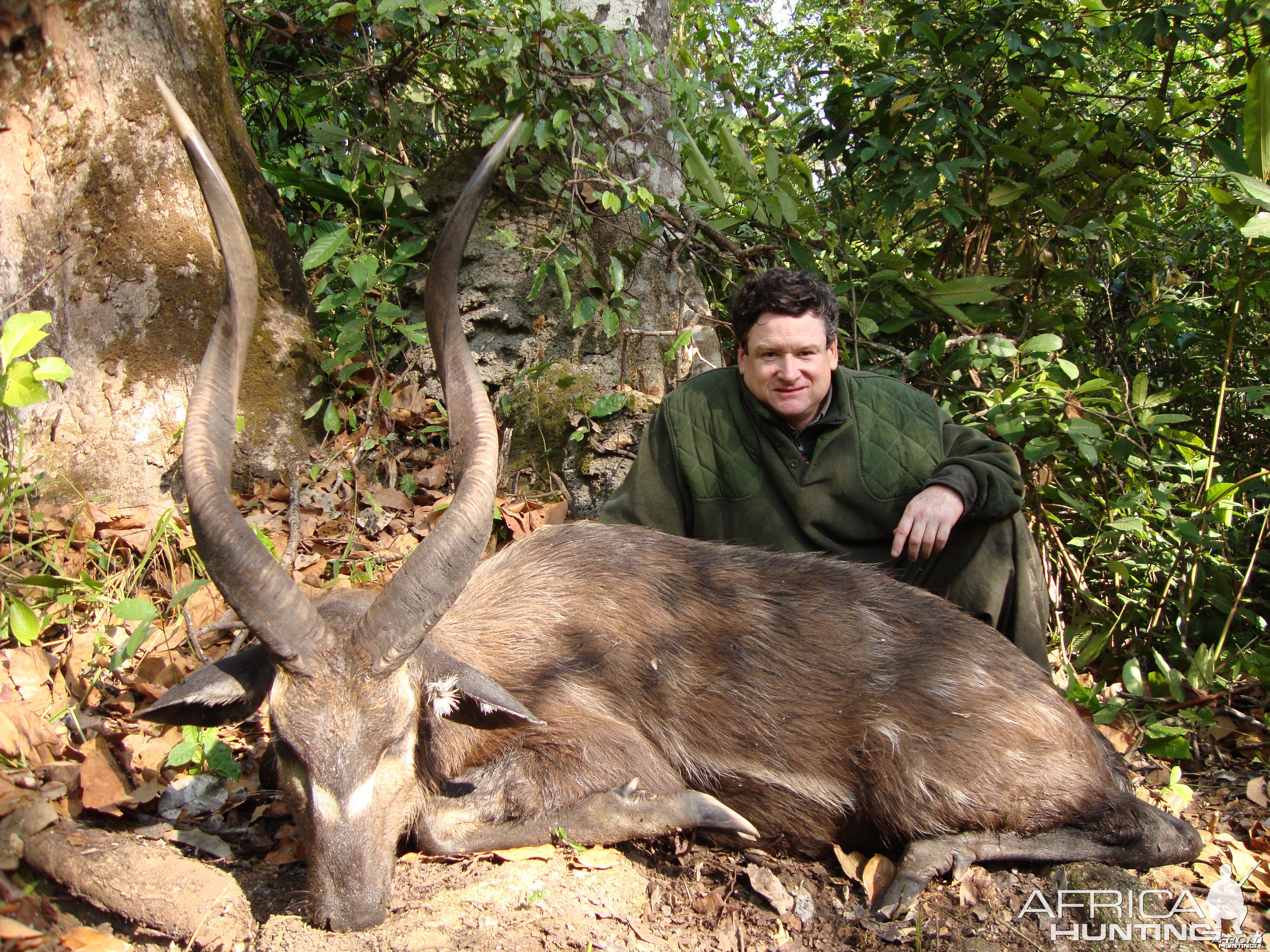 Western Sitatunga hunted in Central Africa with Club Faune