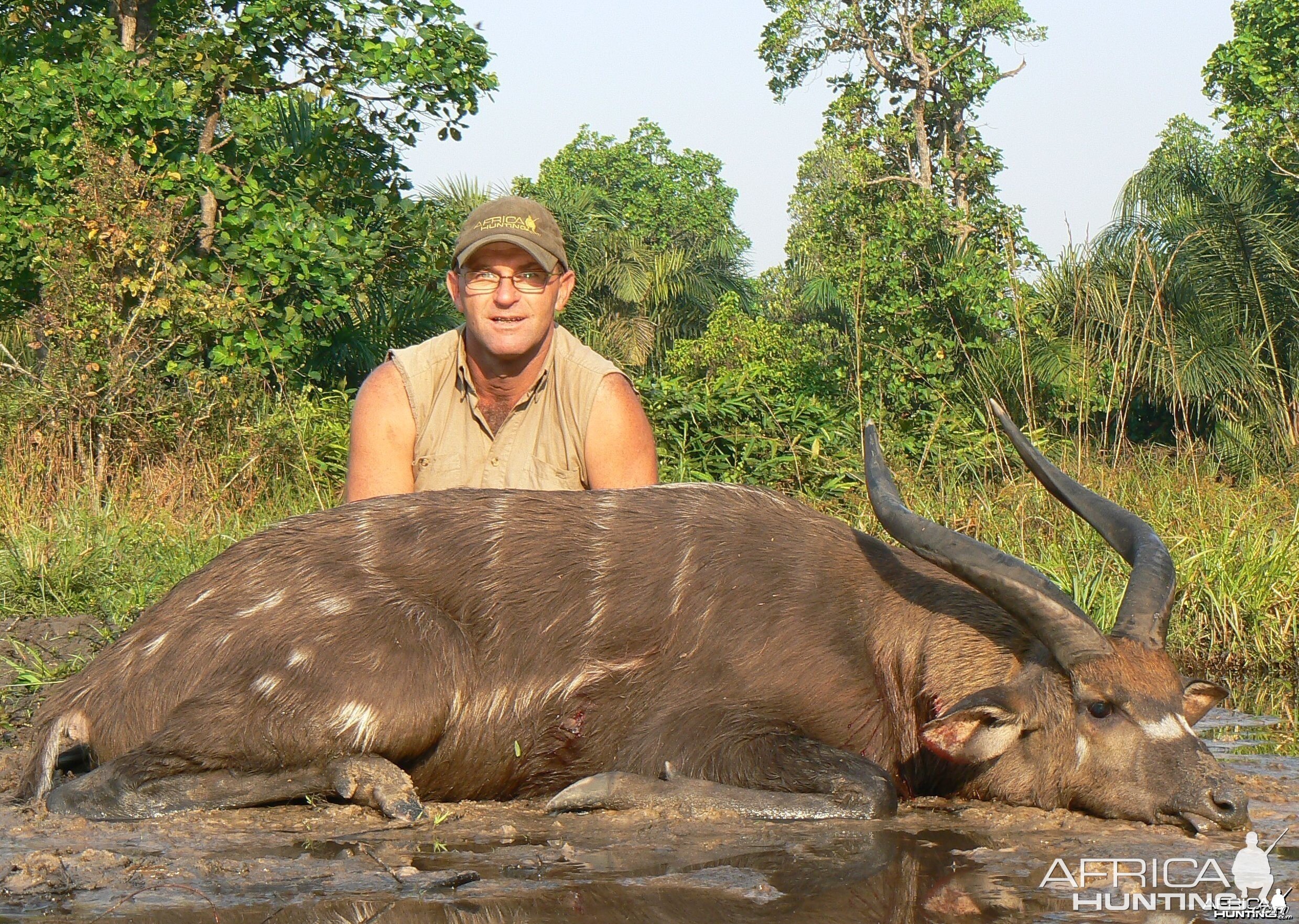 Western Sitatunga shot in CAR