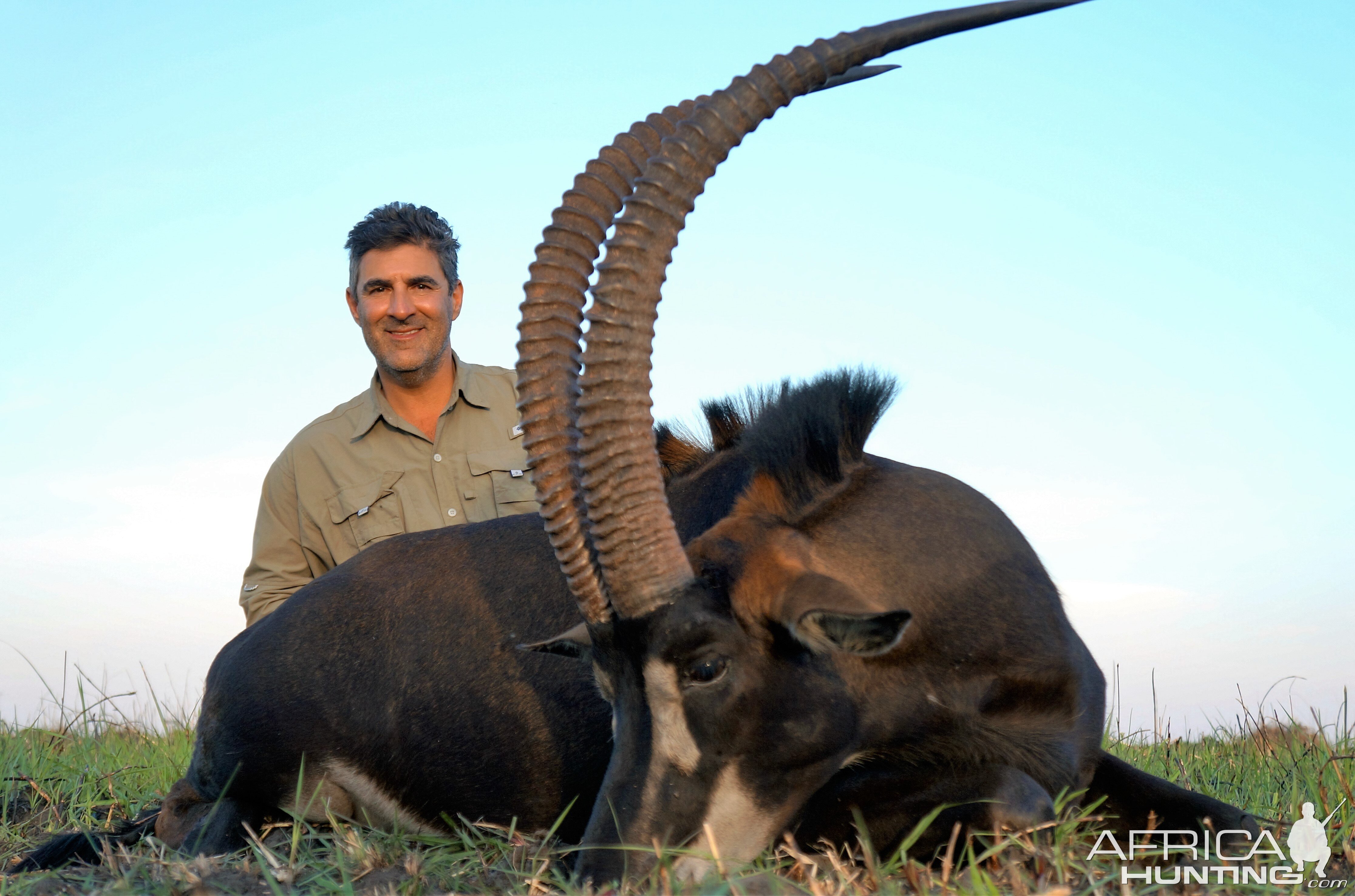 Western Tanzania  Common Sable Hunting