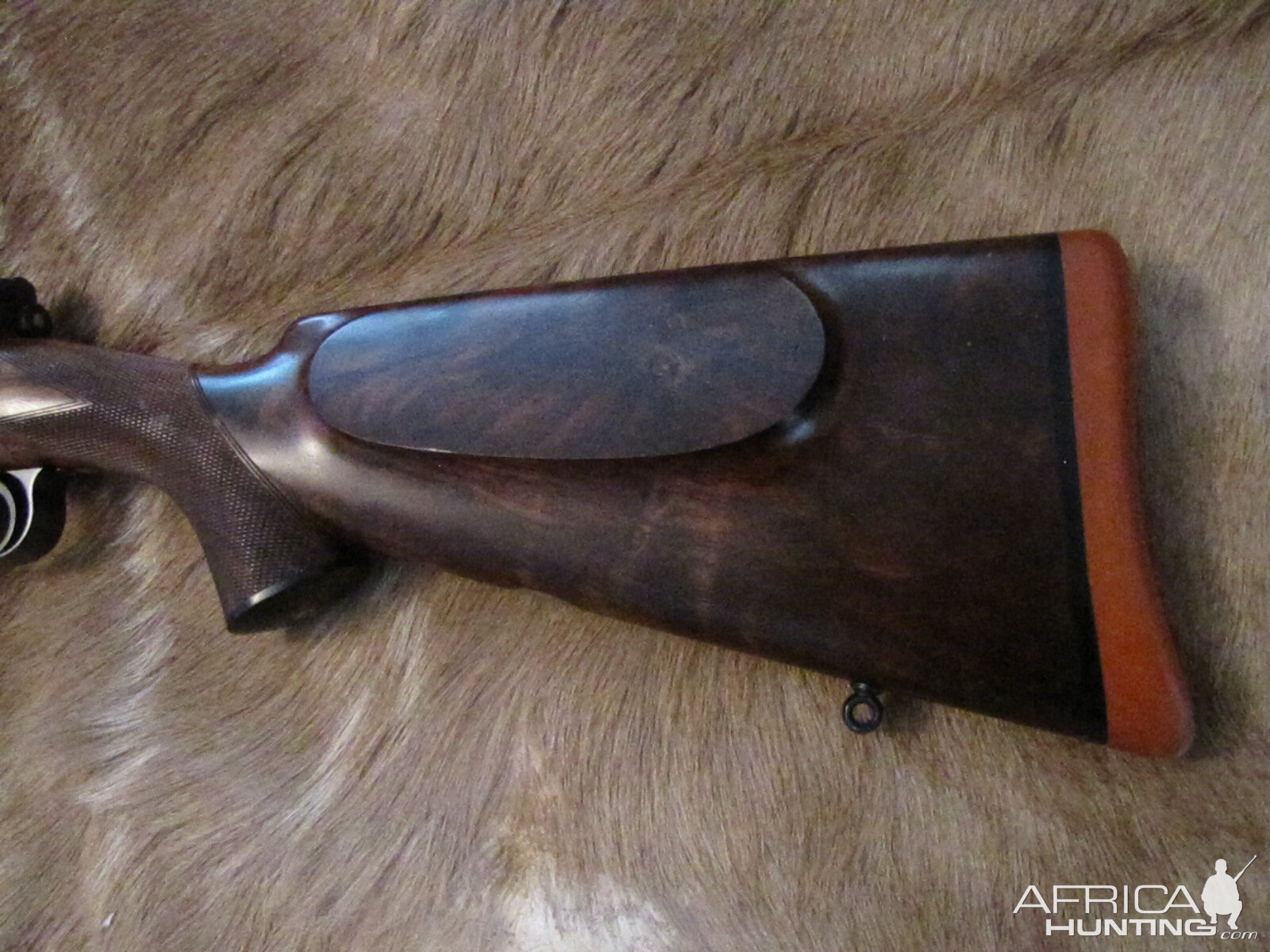 Westley Richards 425 Rifle