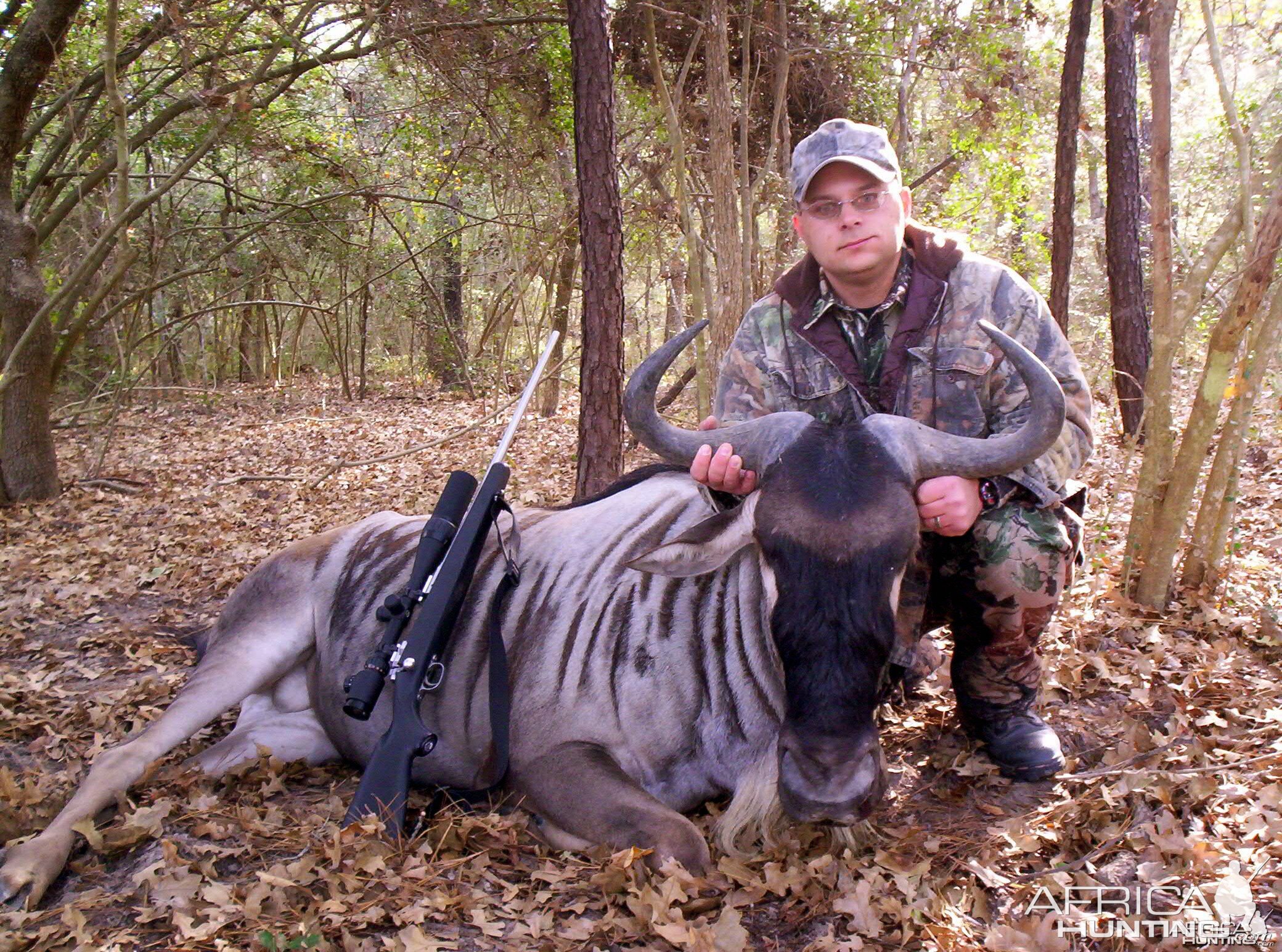 White Bearded Gnu