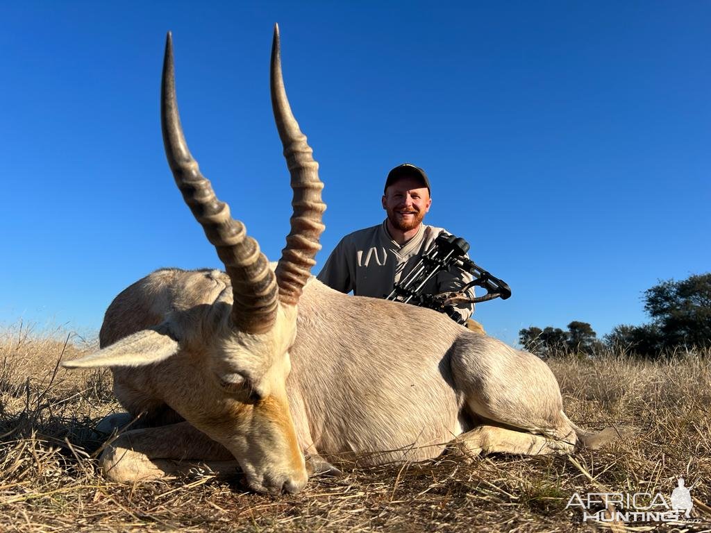 White Blesbok Bow Hunt South Africa