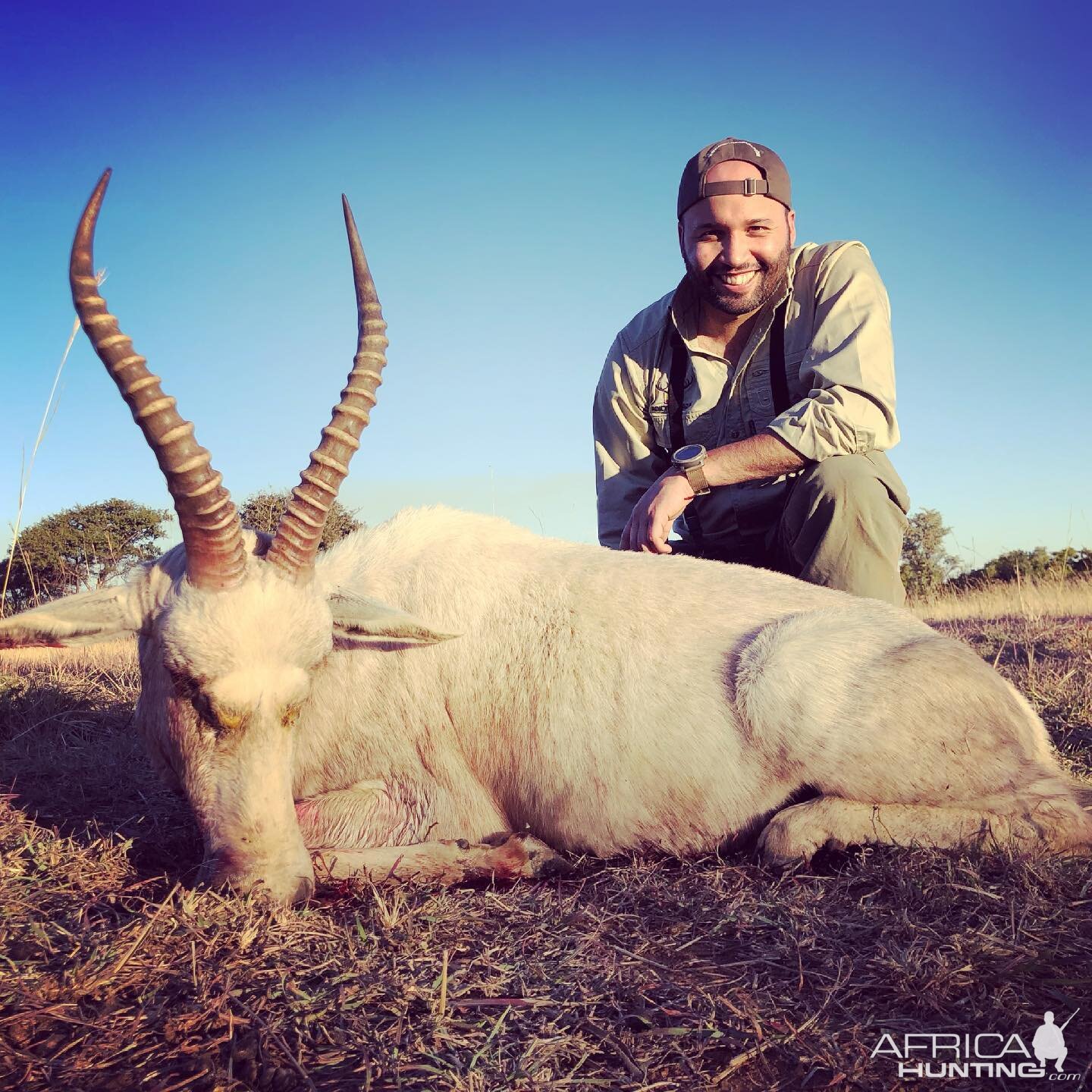 White Blesbok Hunt Limpopo South Africa