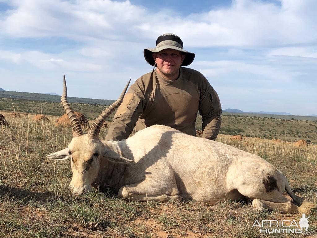 White Blesbok Hunt South Africa